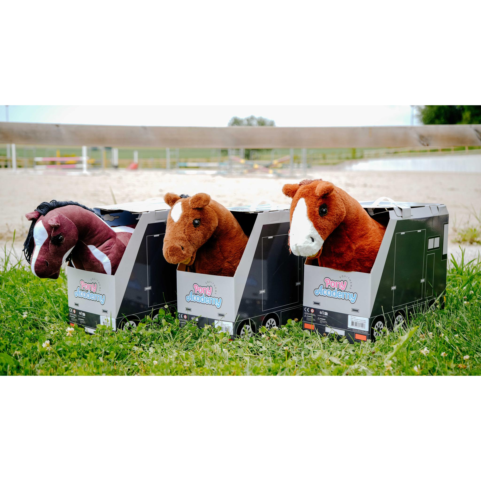 Mini Pony Prince - PONY ACADEMY chestnut brown - 901415004_ambi_1