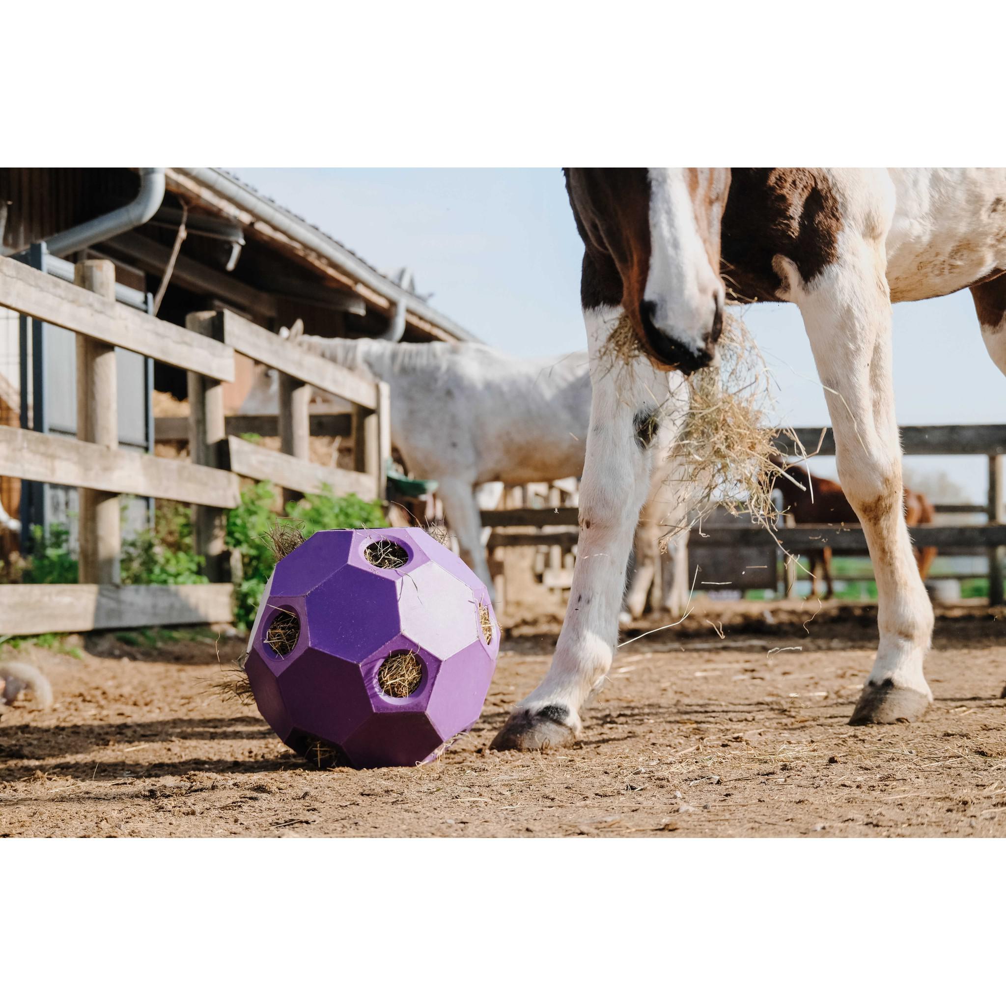 Hippo-Tonic Slow Feeder Hay Ball Purple 900115015