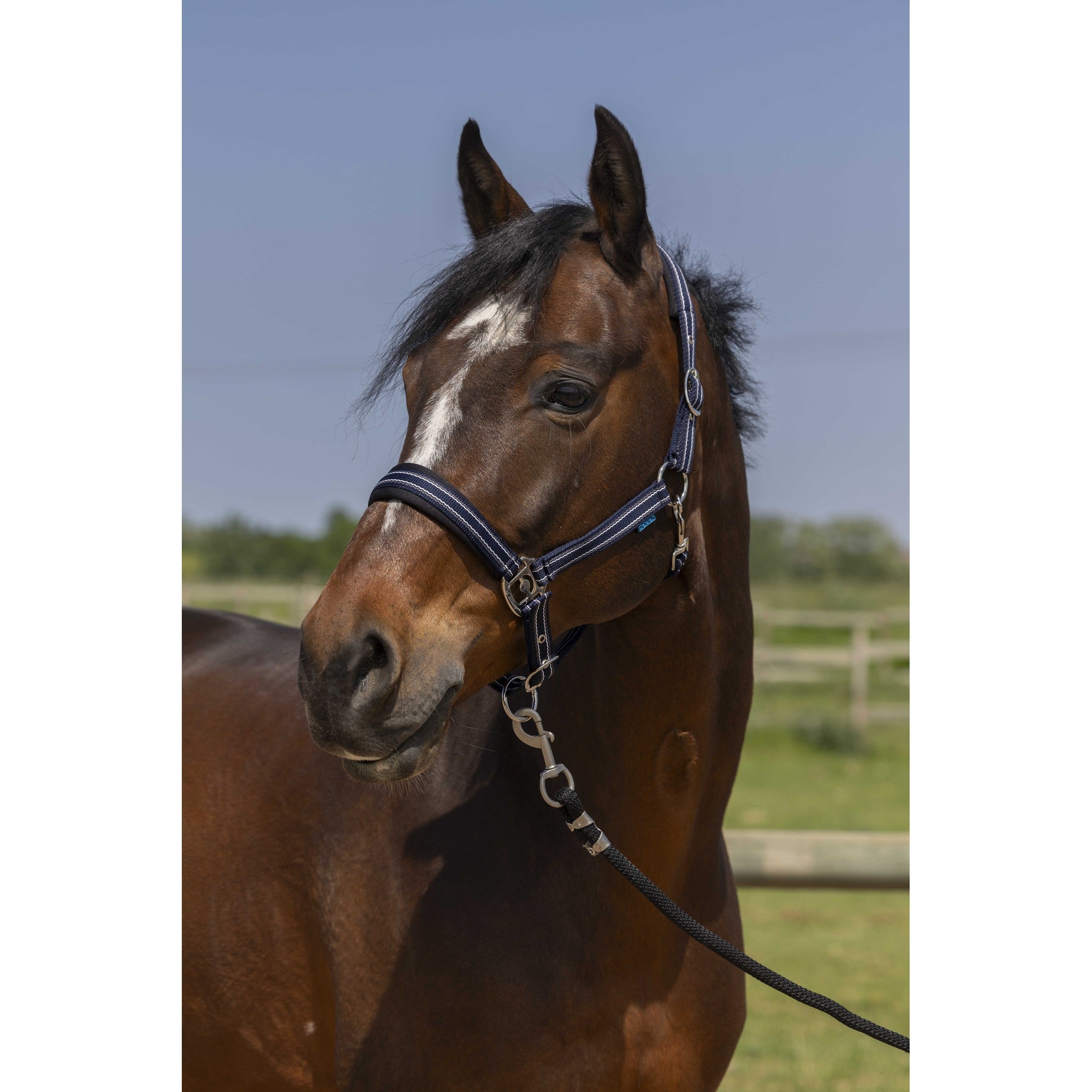 Norton 4lines Halter Navy blue 510246307