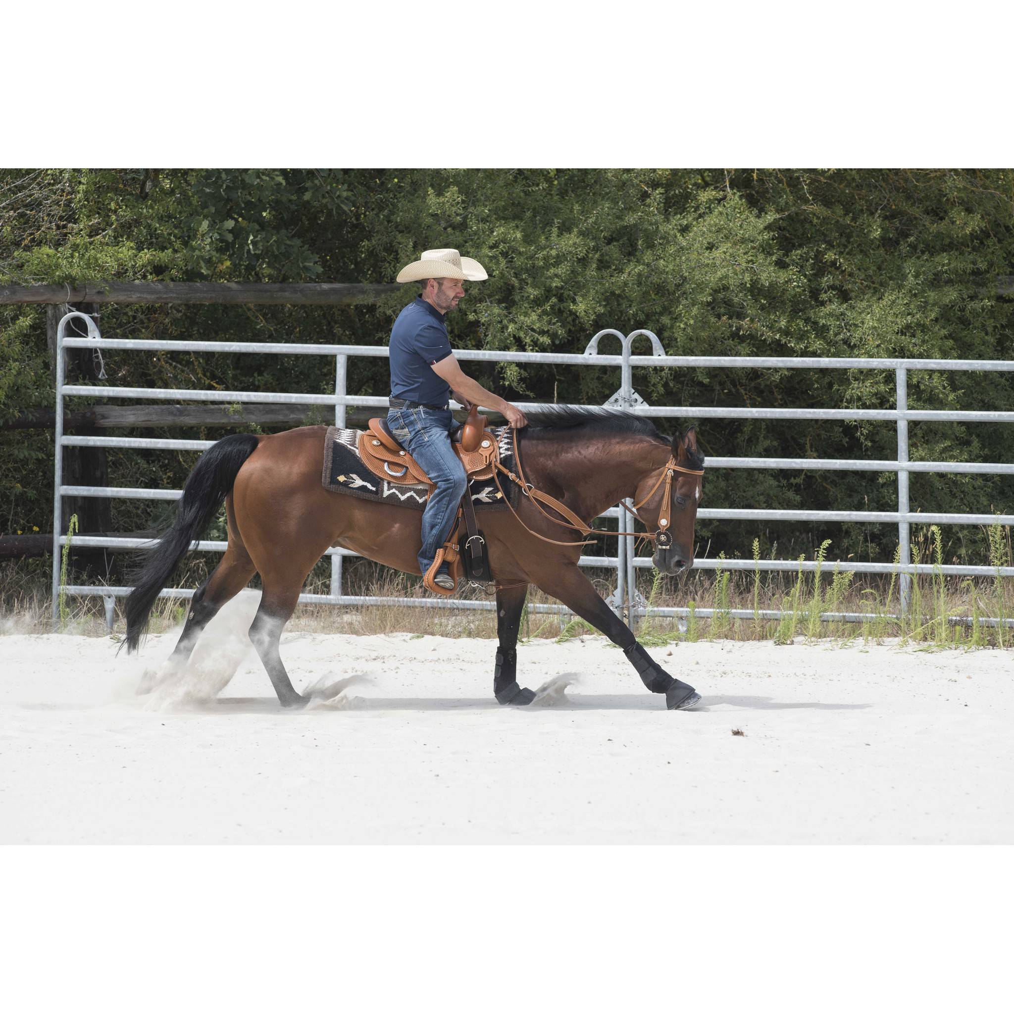 Westride Aurora Saddle by Franck Perret Chestnut 800043016