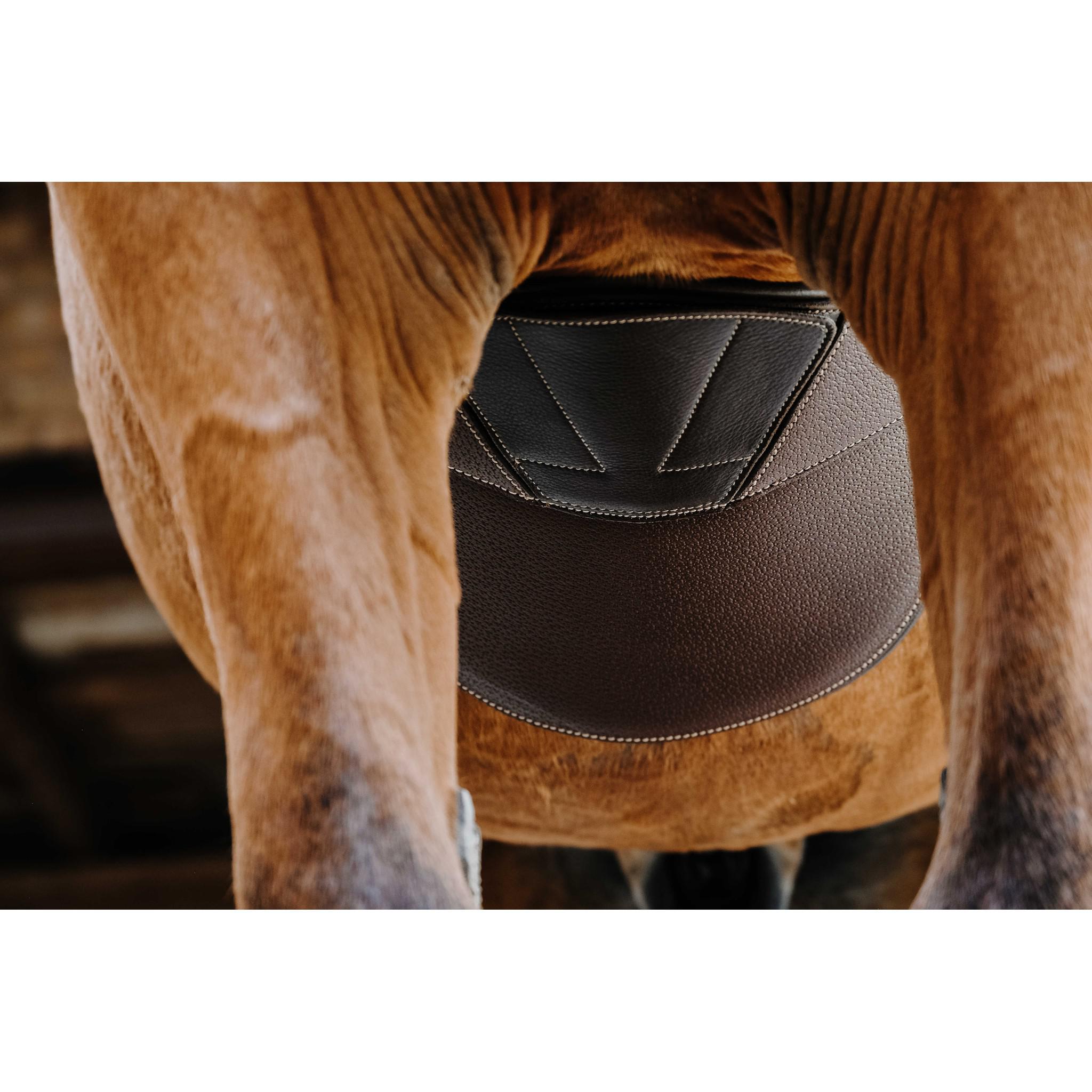 Norton Magnet Belly protector girth Havana 203146425