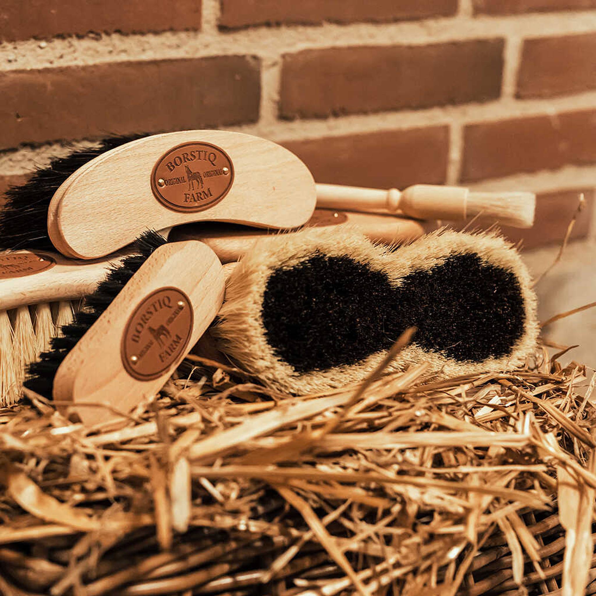 Borstiq mix mex Infinity Brush Wood 311018000