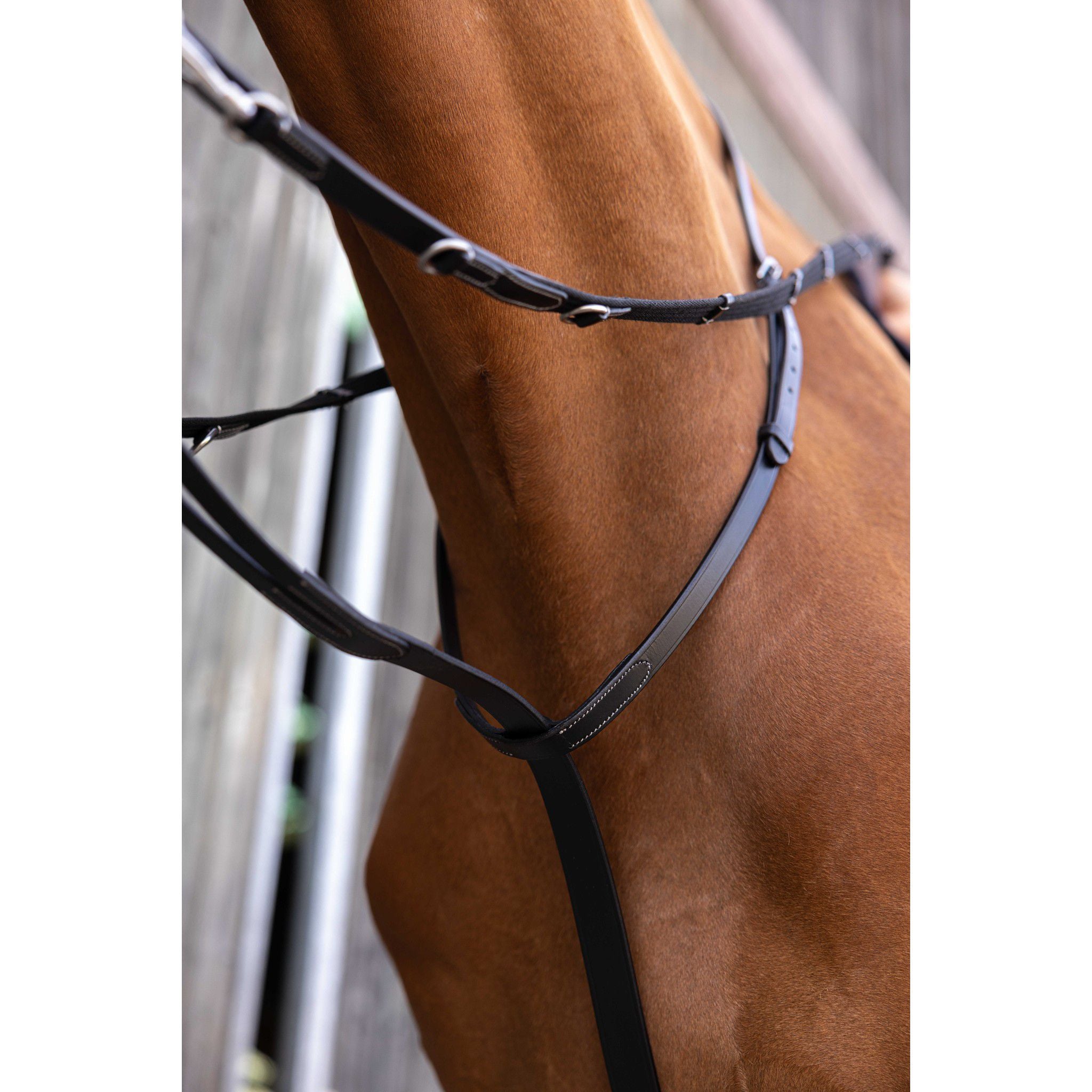 Norton Pro Thiedeman side reins Black 306426102
