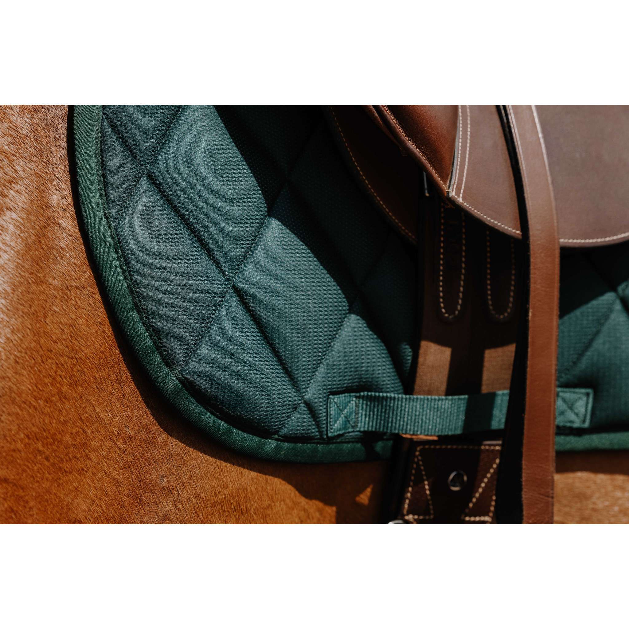 Riding World School Saddle Pad - All purpose Dark green 204057009