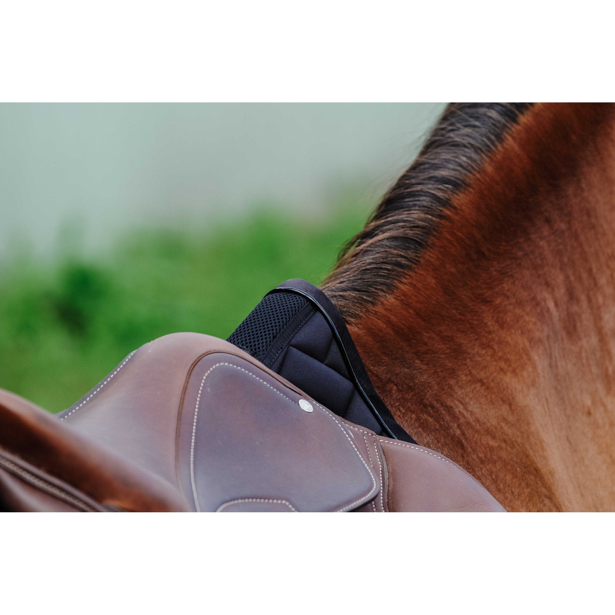 EQUITHÈME Impulsion Saddle Pad - All purpose Black 204006002