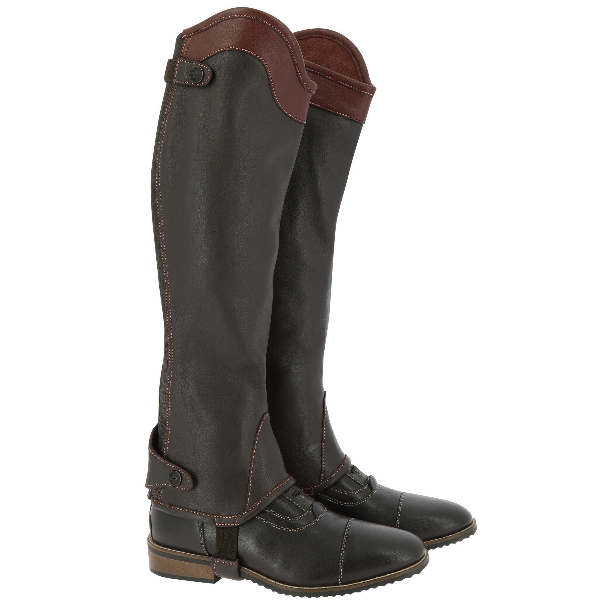 EQUITHÈME Elite half-chaps - Adult Brown 913239431