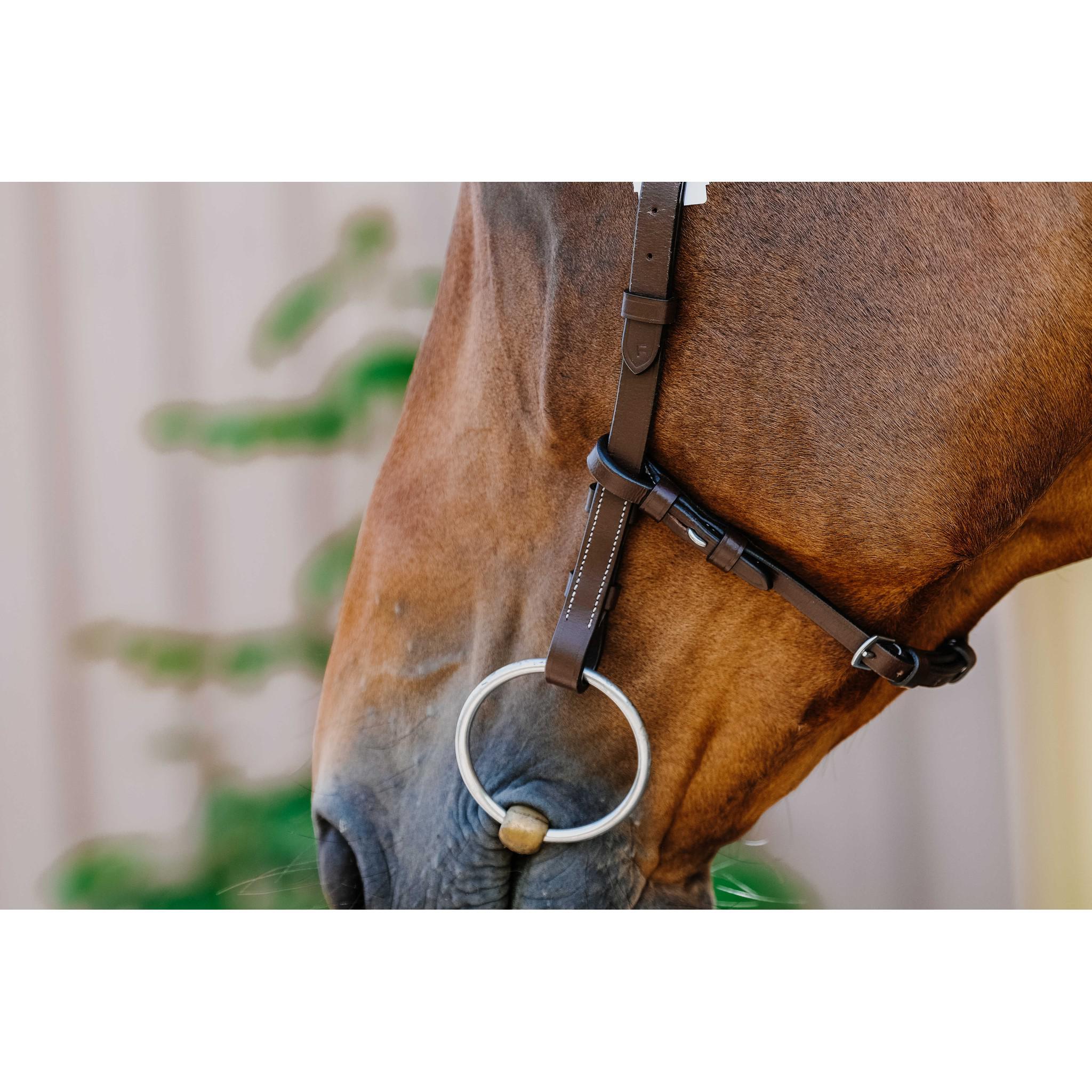 Norton Freedom Bridle Havana 301804318