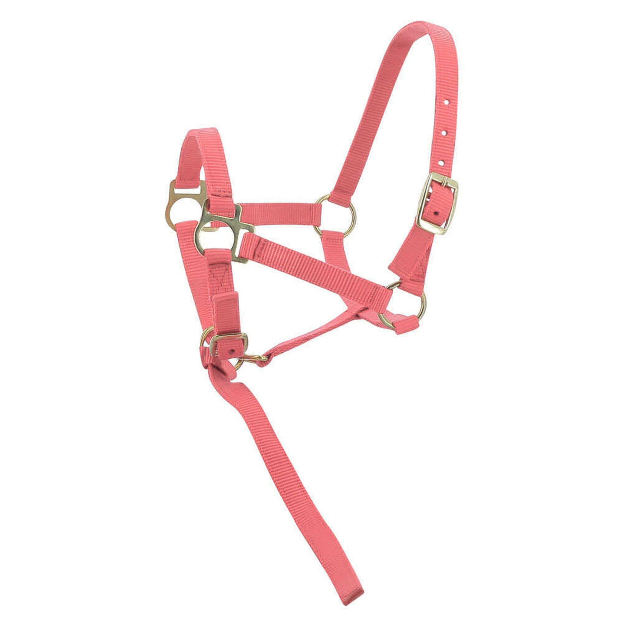 Norton Nylon halter foal Pink 510038016