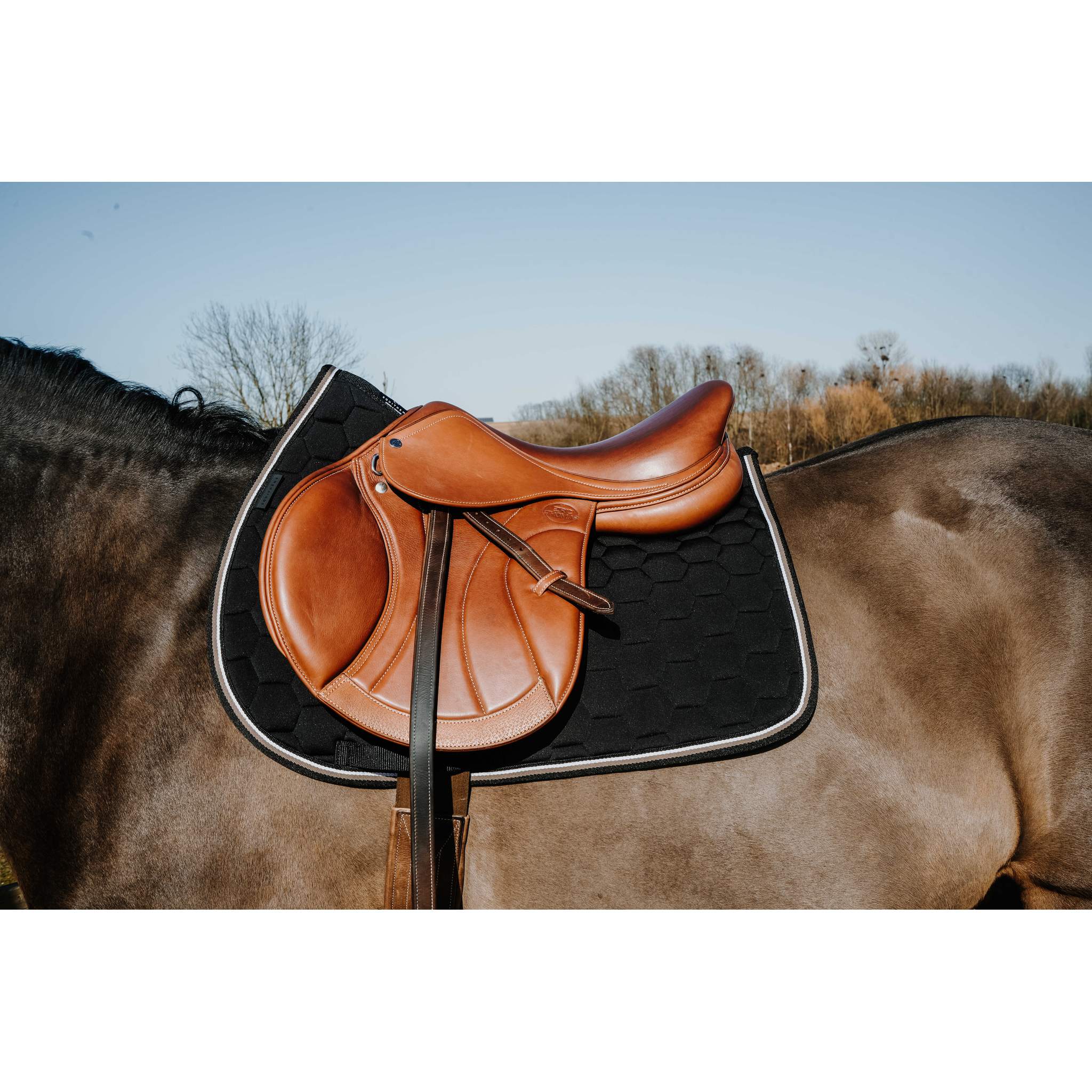 EQUITHÈME All-Purpose Saddle Pad - Coco Black - 204913002_ambi_1