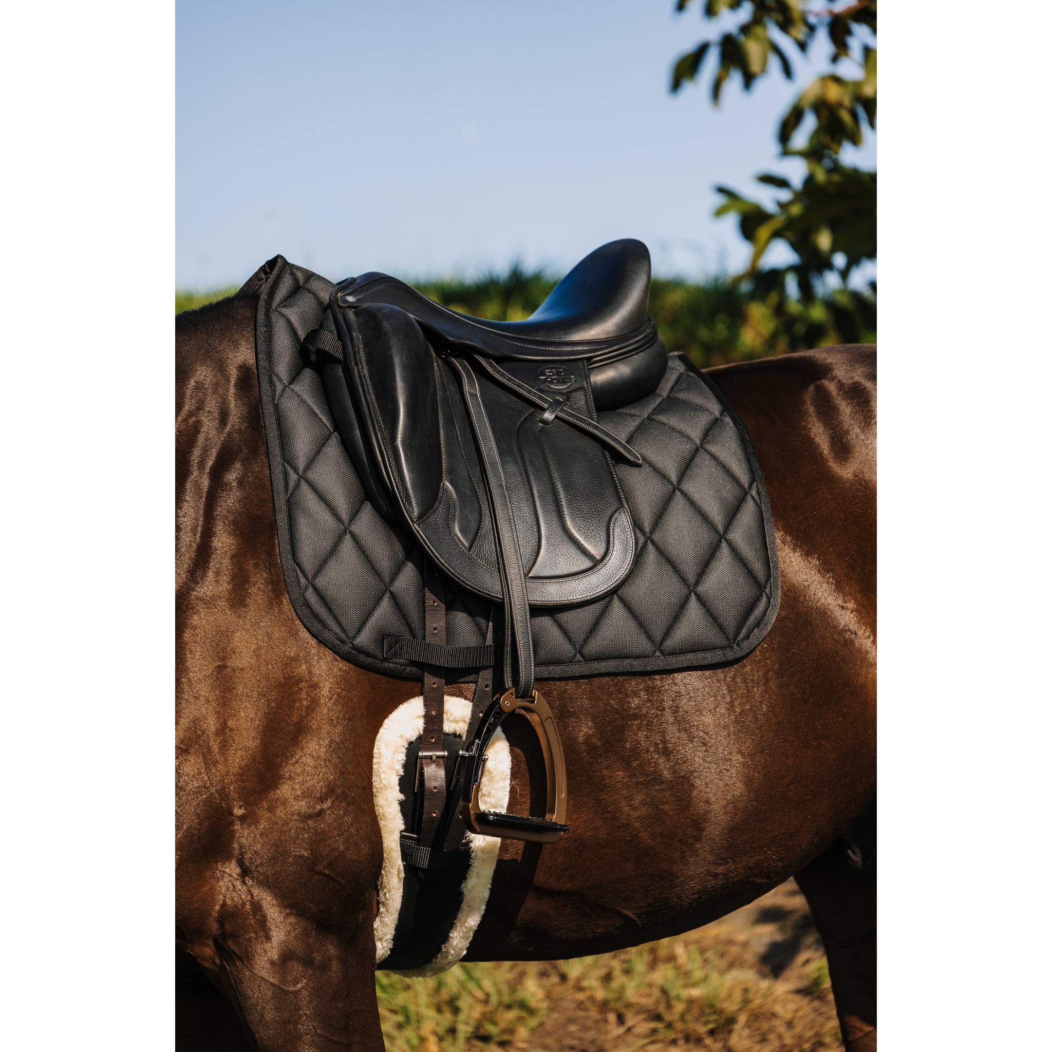 Riding World School Saddle Pad - Dressage Black 204014002