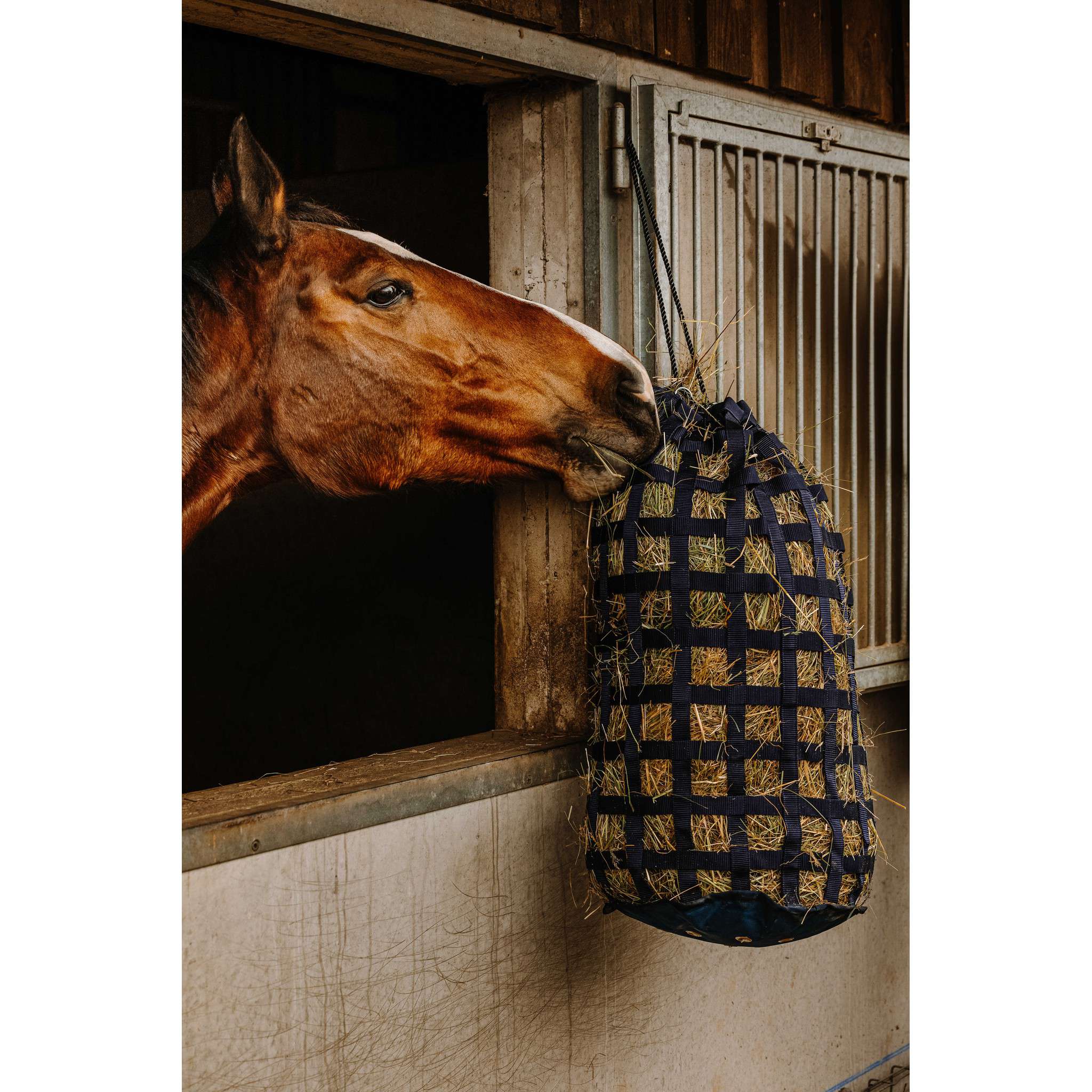 Hippo-Tonic Strap Hay Bag Navy blue 306836007