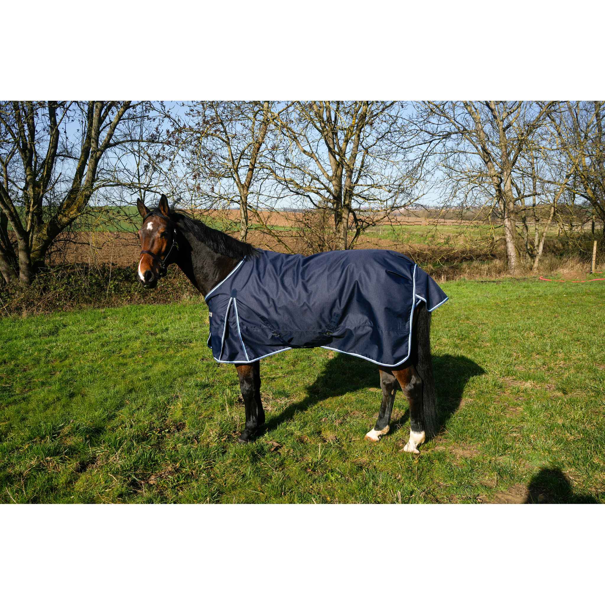 FIRST Outdoor Blanket - RIDING WORLD Navy blue - 400974070_ambi_4