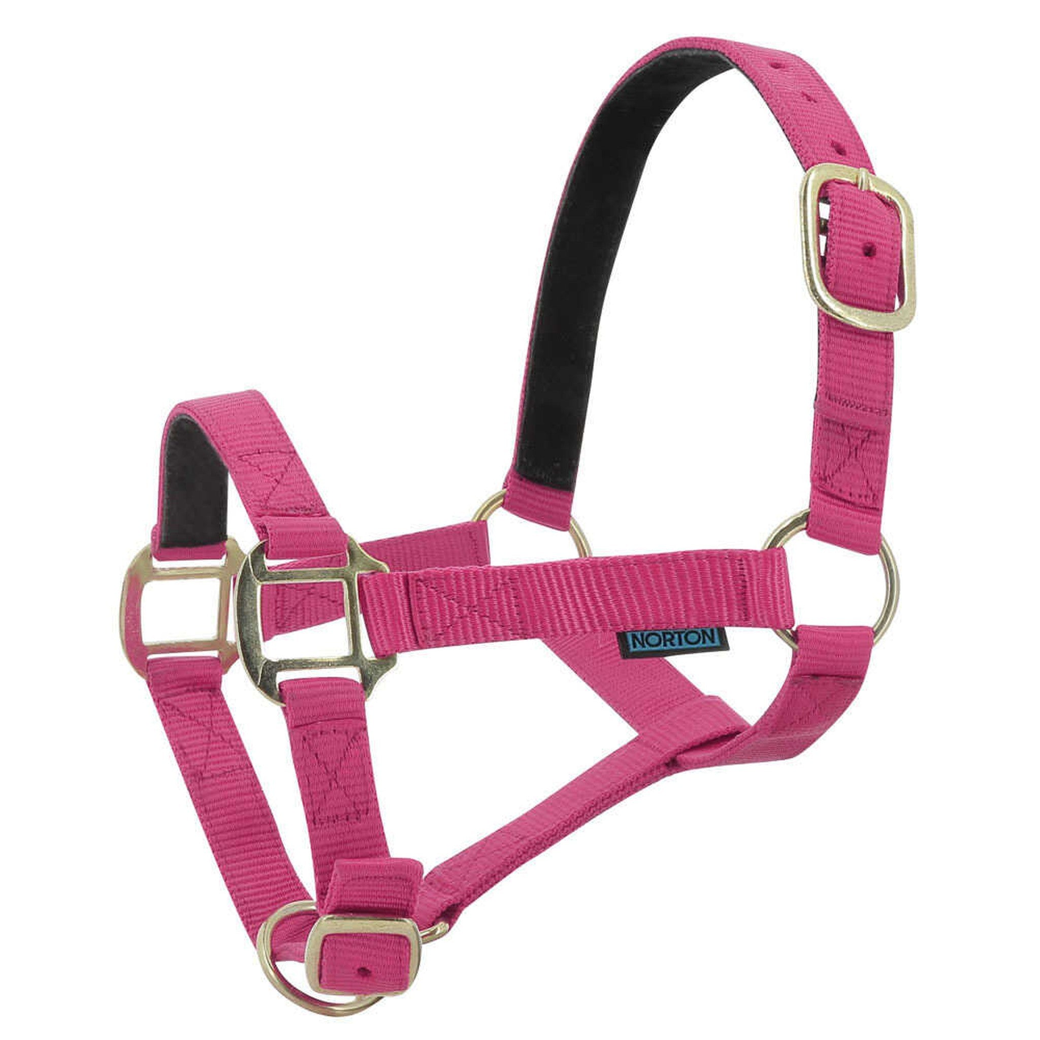 Norton Leather lined nylon headcollar Raspberry/black 510175352