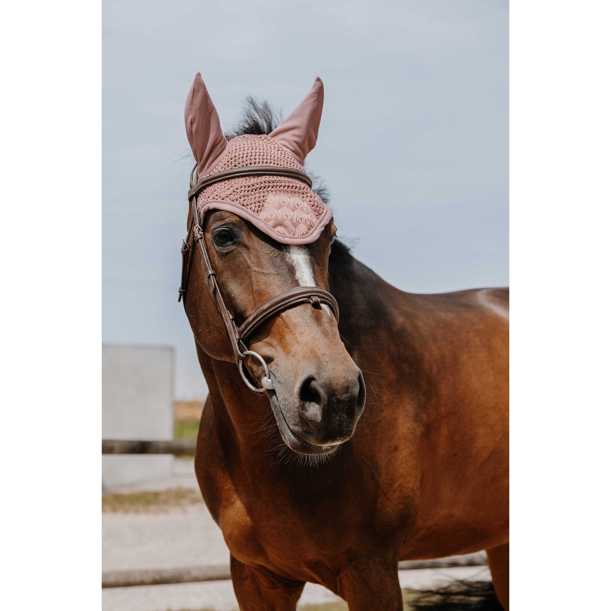 EQUITHÈME Brocart fly veil Pink 306881013