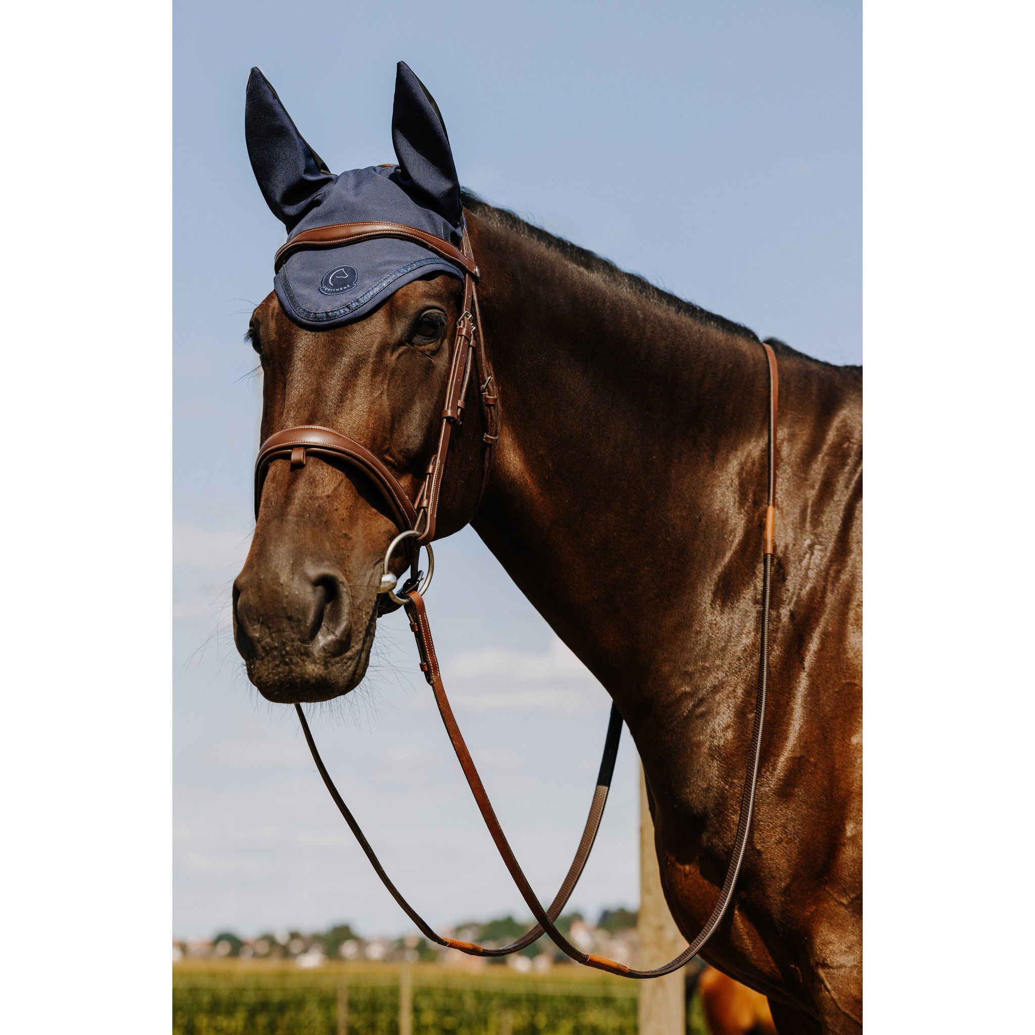 Je t’aime EQUITHÈME Origine Fly Veil Navy blue 306883007
