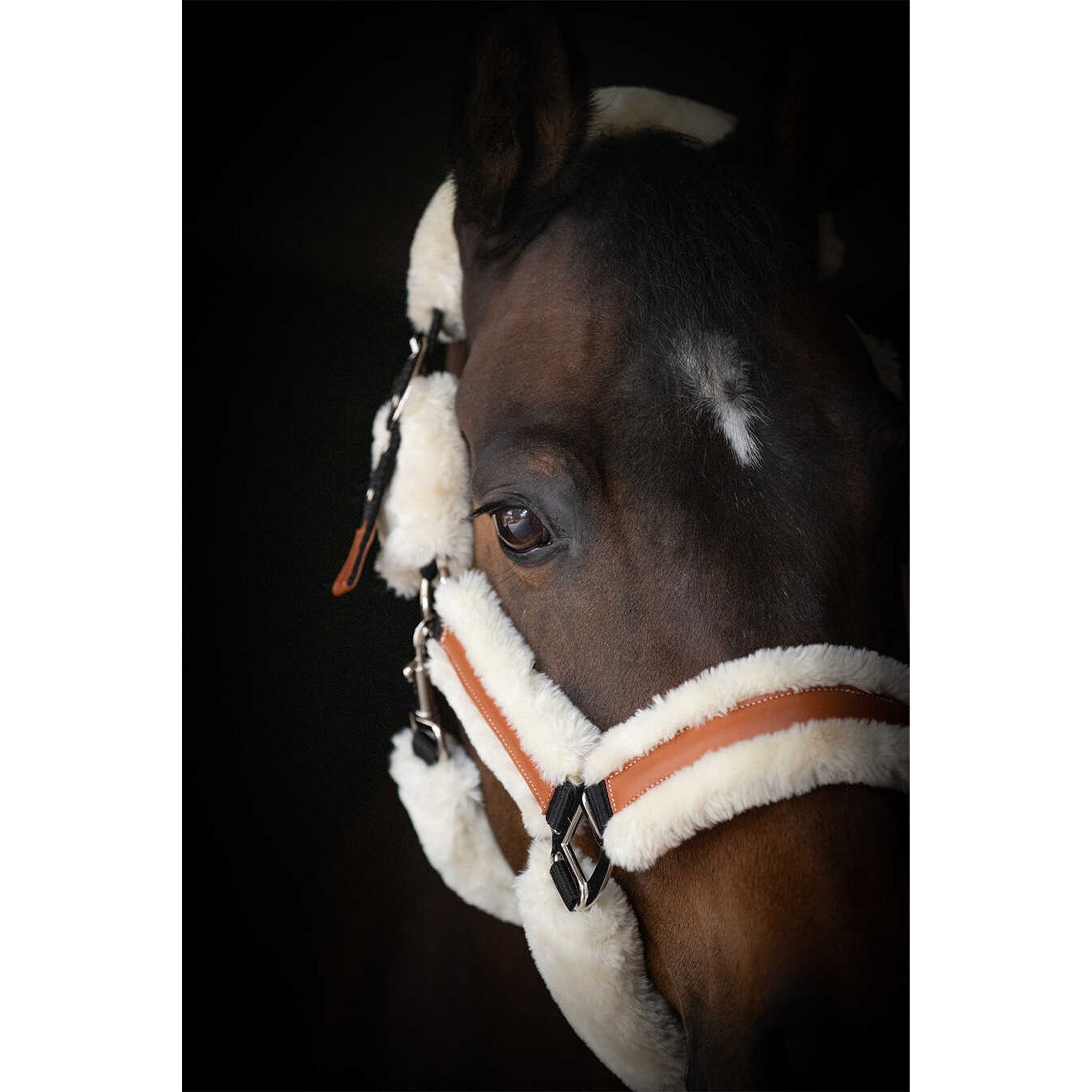 Pénélope Soft halter Black/ecru 510902325