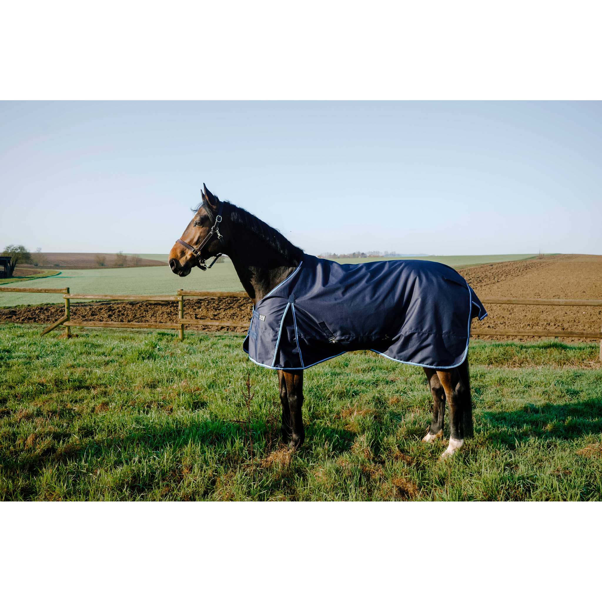 FIRST Outdoor Blanket - RIDING WORLD Navy blue - 400974070_ambi_3