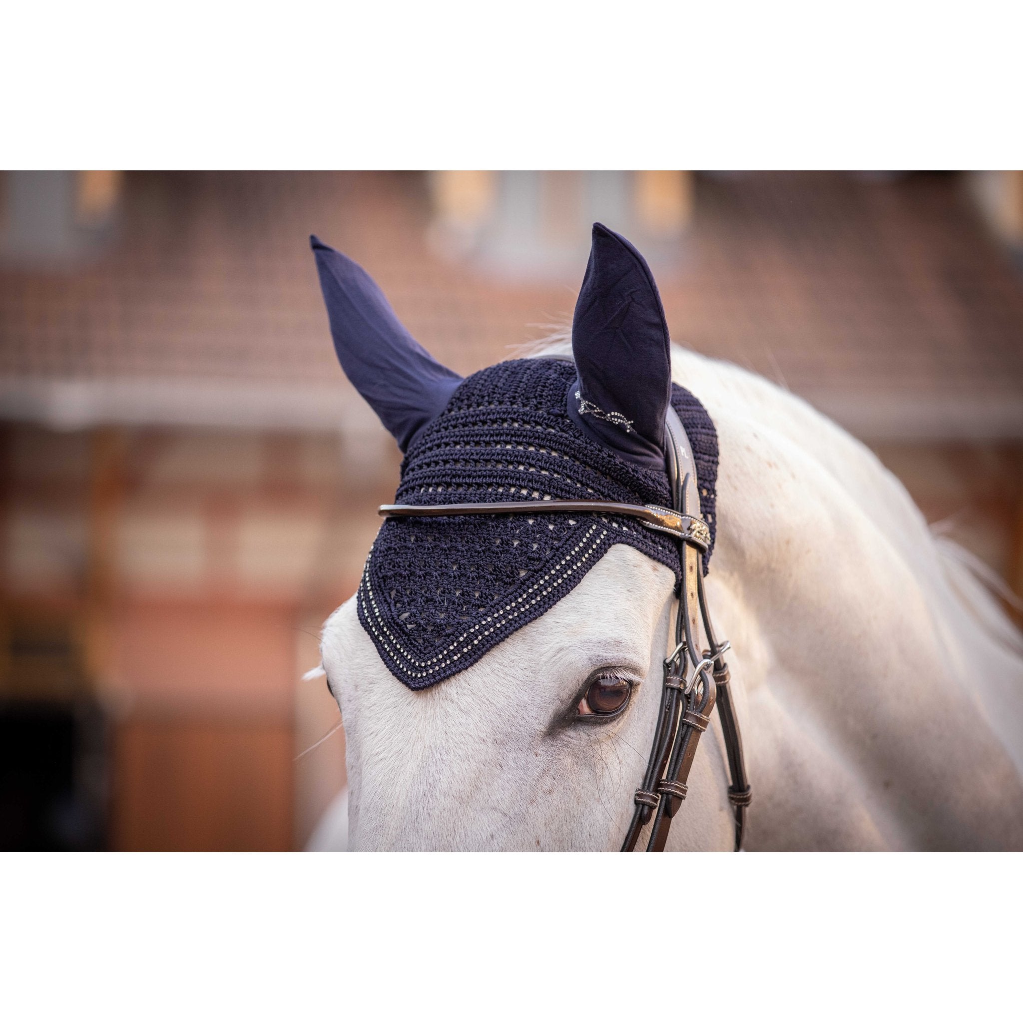 Penelope New Strass Fly Veil Navy blue - 306890007_ambi_5