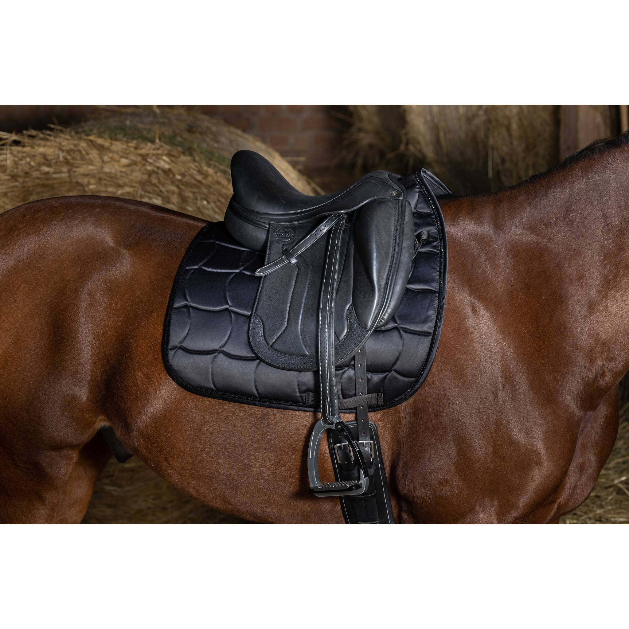 EQUITHÈME Satin Saddle pad - Dressage Black 204433002