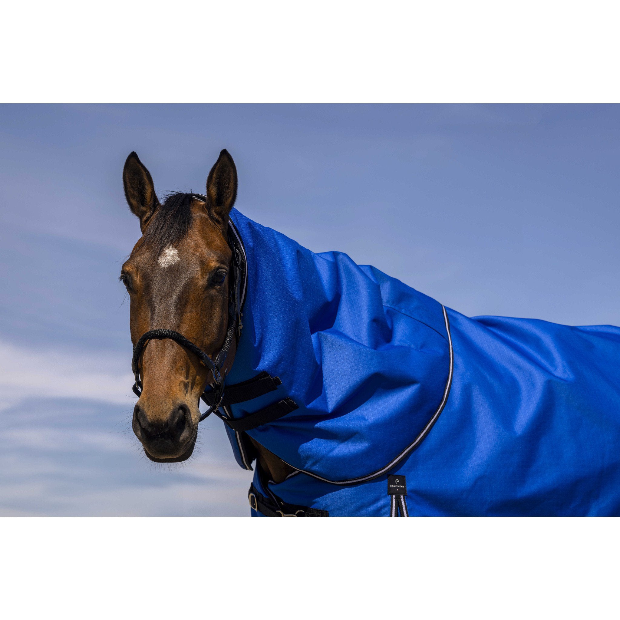 EQUITHÈME Tyrex 1200D Neck cover Royal blue 400992403