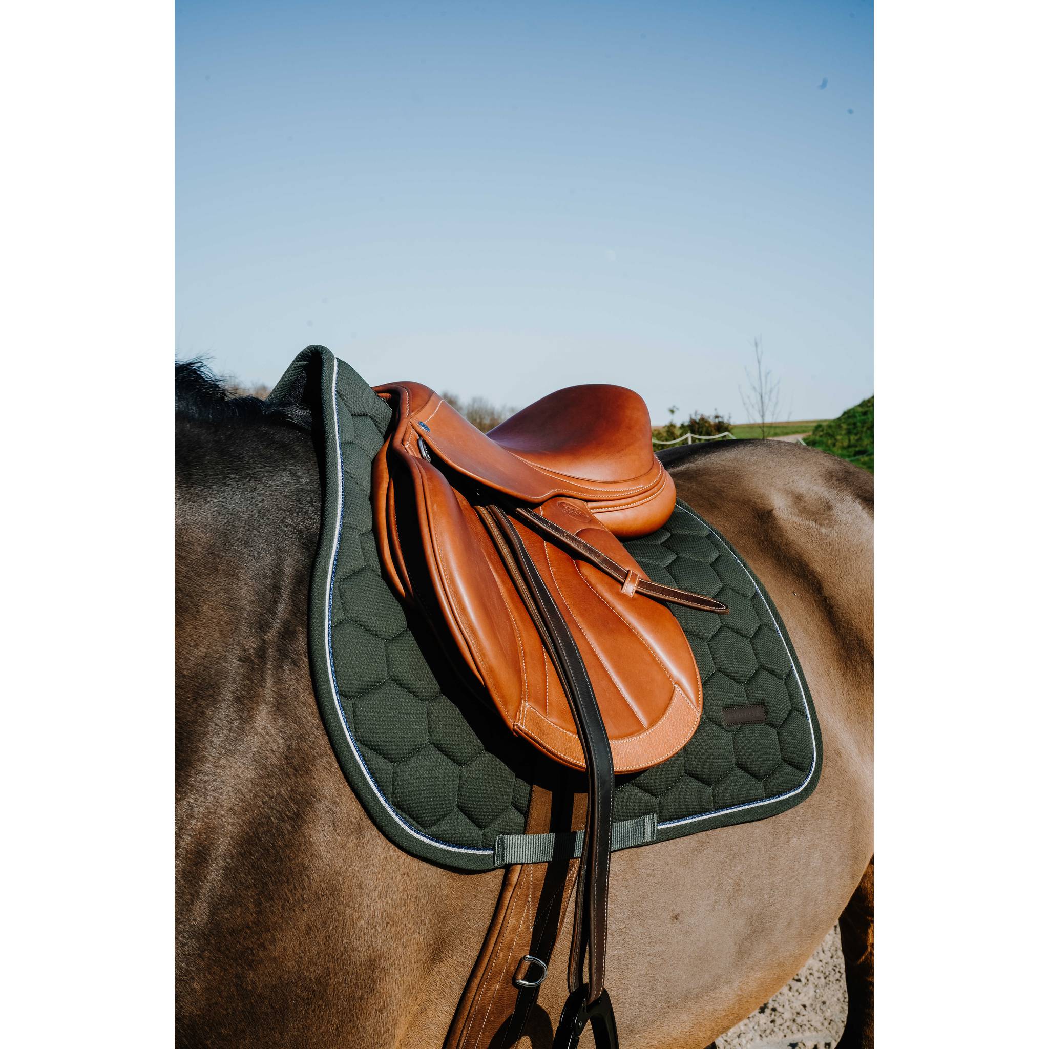 EQUITHÈME All-Purpose Saddle Pad - Honey Dark green - 204028009_ambi_1