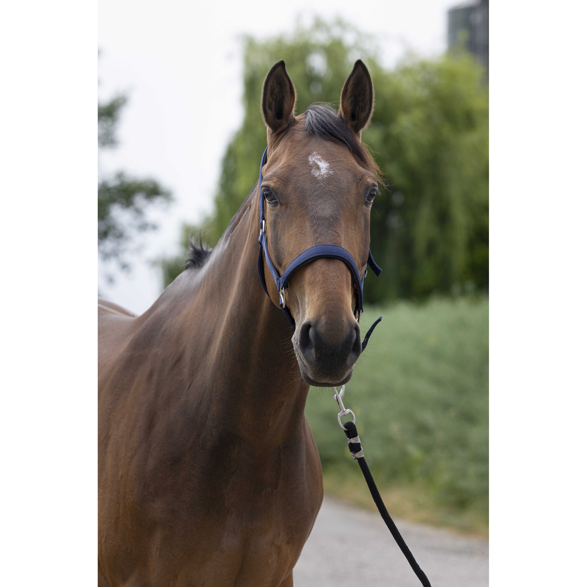 Norton Satine Halter Navy blue 510248307