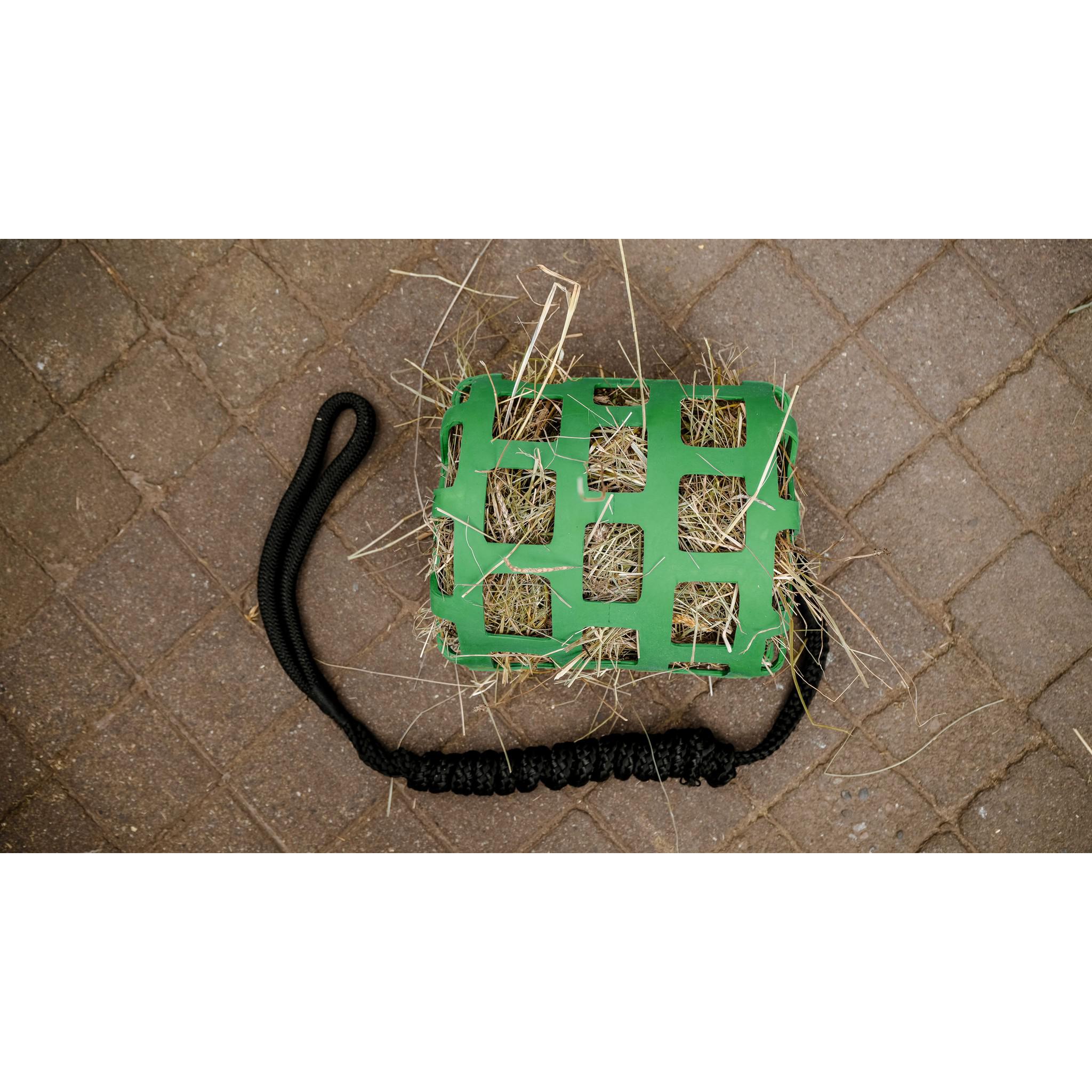 Hippo-Tonic Feeding Ball with Lead Rope Green 900120008