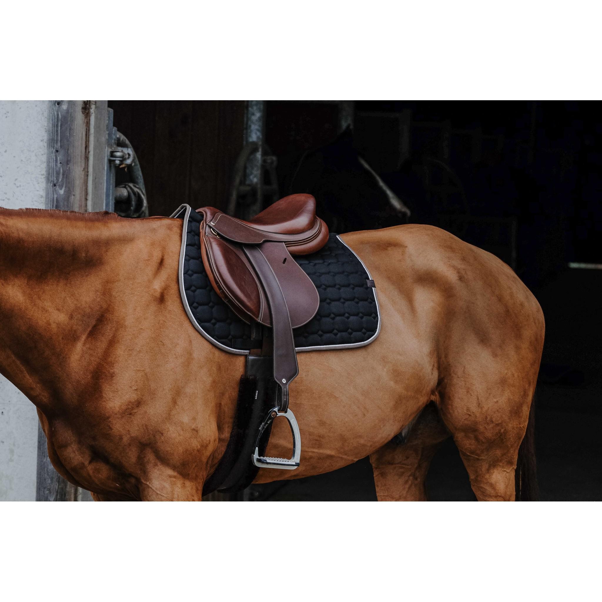 EQUITHÈME Orion saddle pad - All purpose Black 204774002