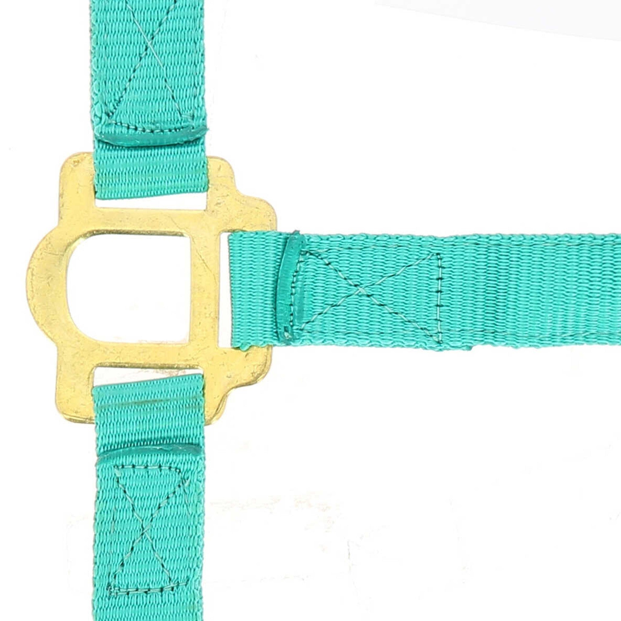Norton Double thickness nylon headcollar with buckles Turquoise 510041017