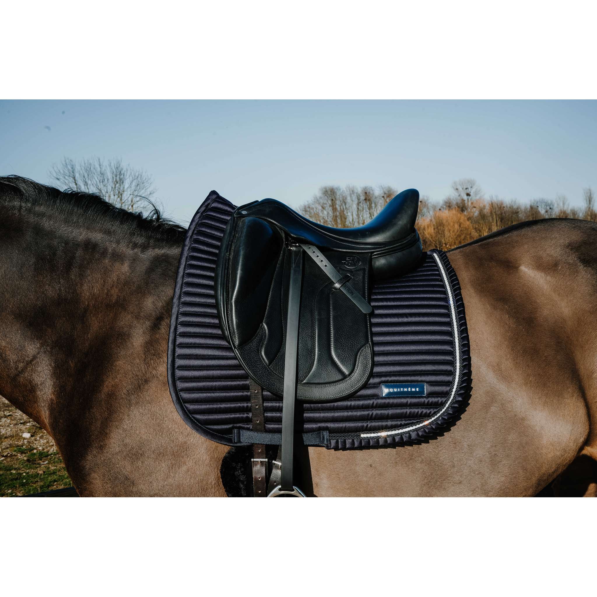 EQUITHÈME Glam Dressage Saddle Pad Navy blue - 204025007_ambi_1