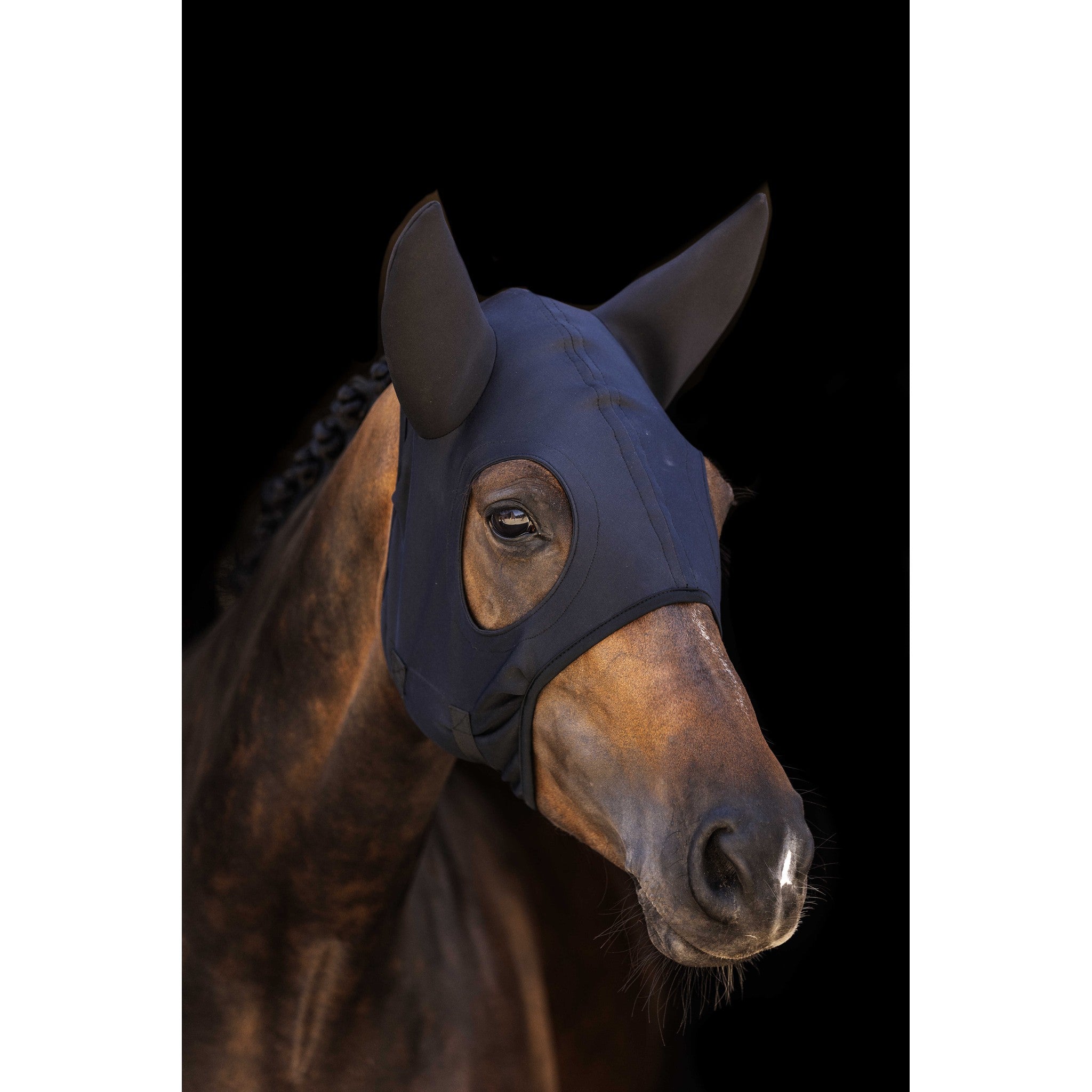 Lami-Cell Titanium Fly mask with ears Black 320027202
