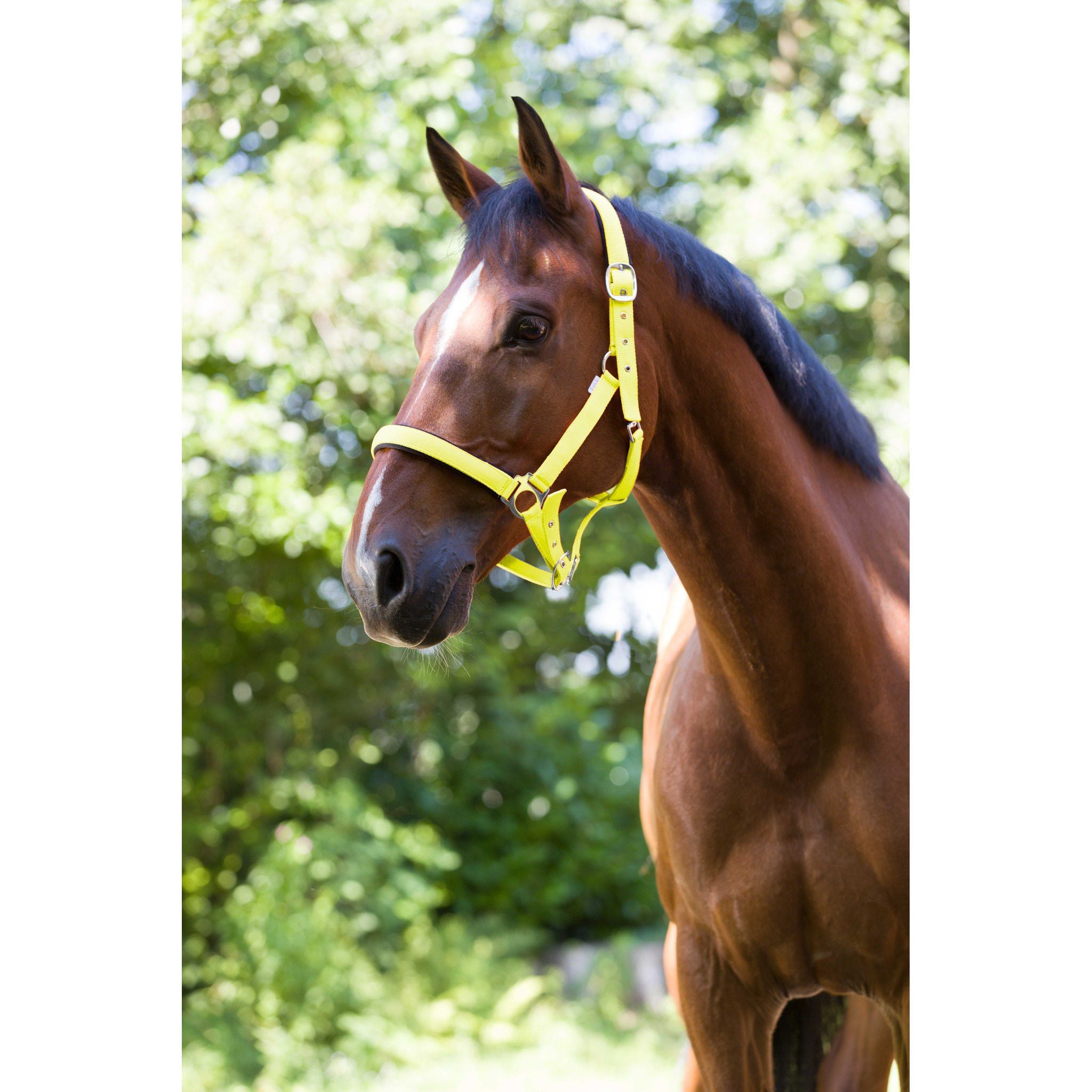 Norton Fluo Lined Halter Yellow 510013310