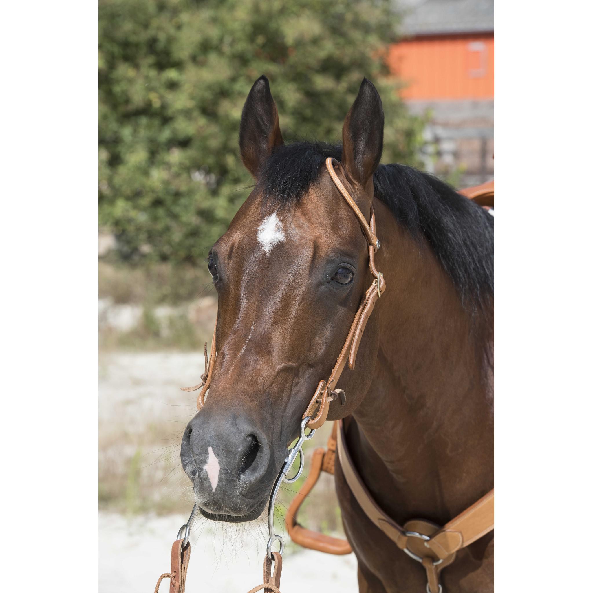 Westride one ear Bridle by Franck Perret Chestnut 802064317