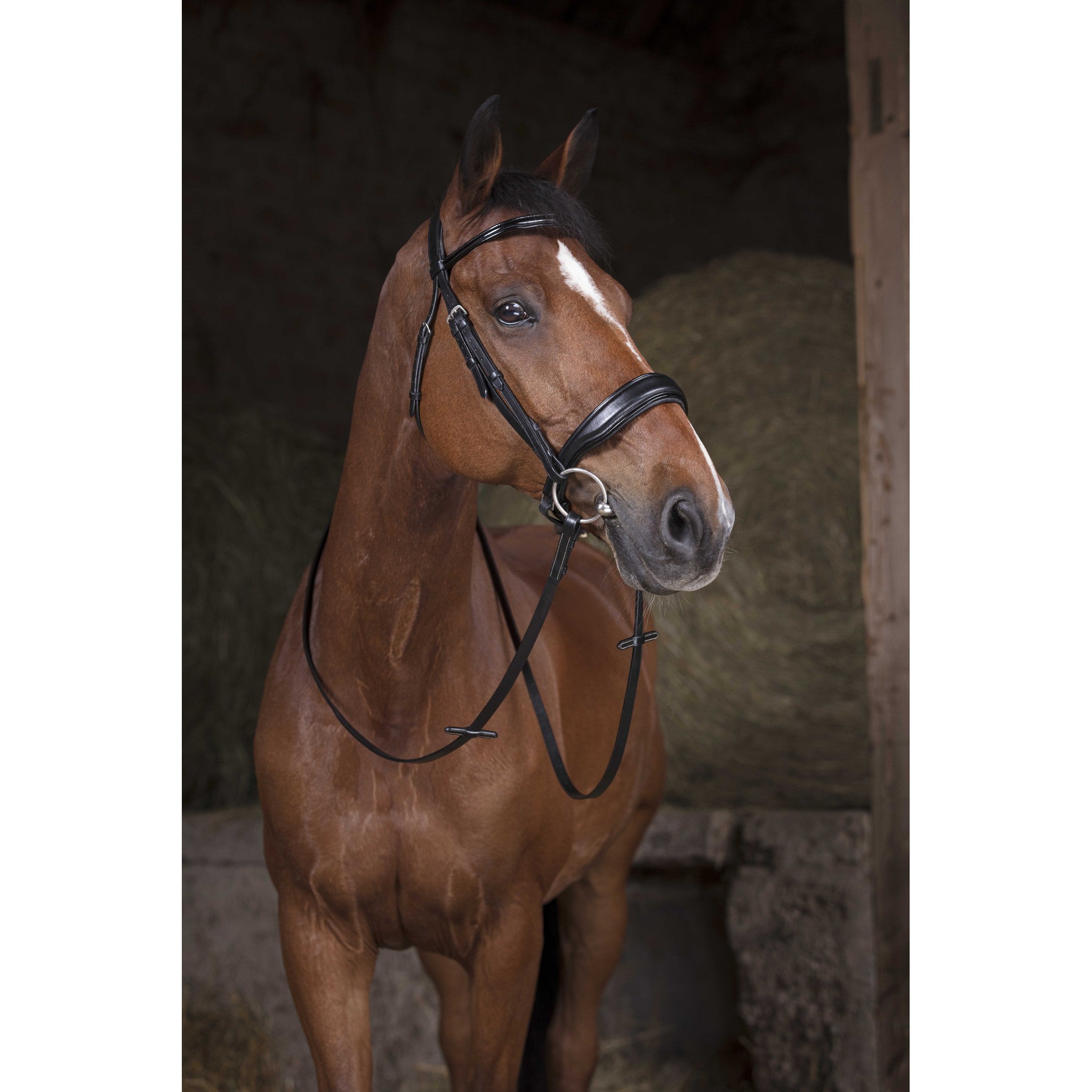 Norton Pro Smooth leather reins Black 305638302