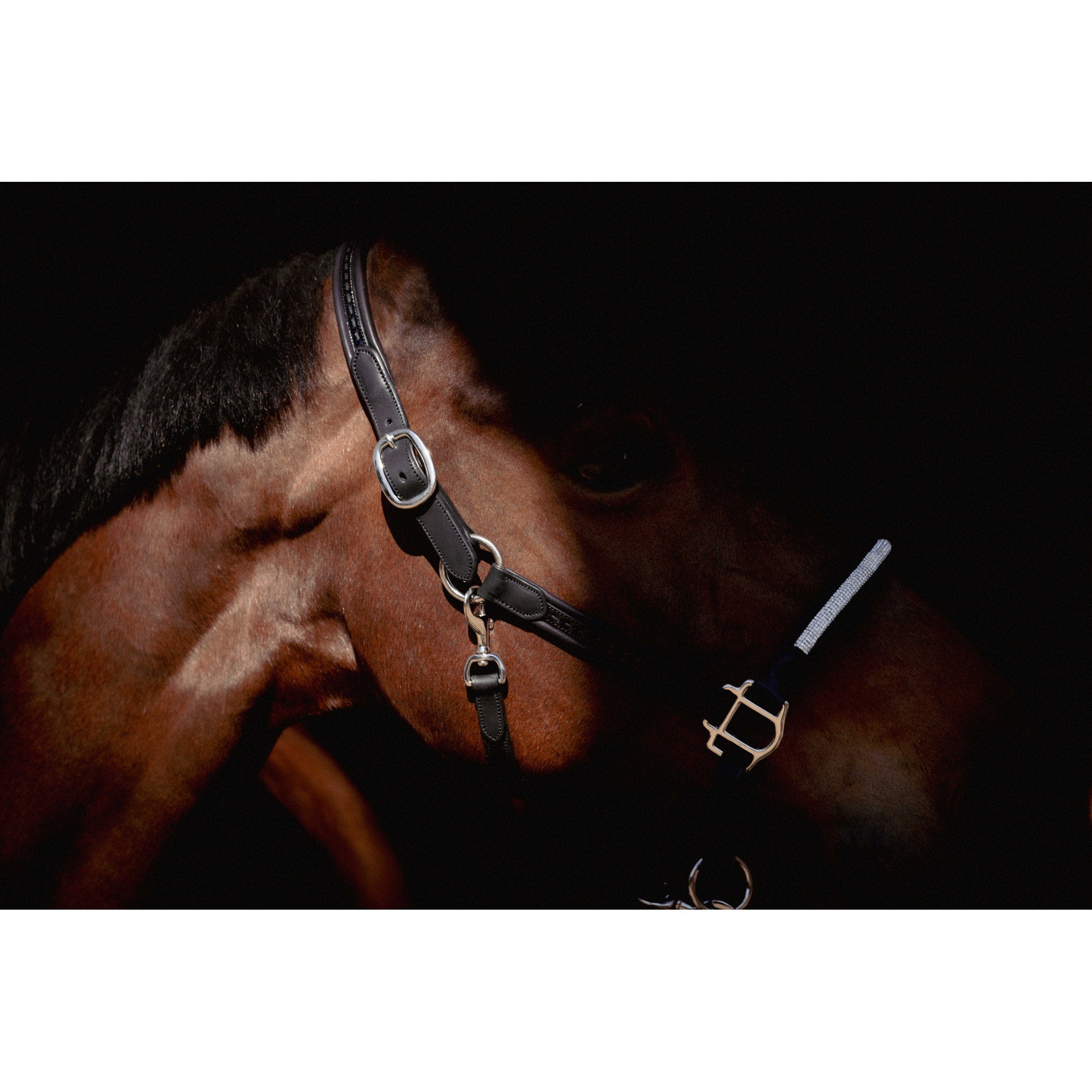 Pénélope Harmonie Halter Black 301611302