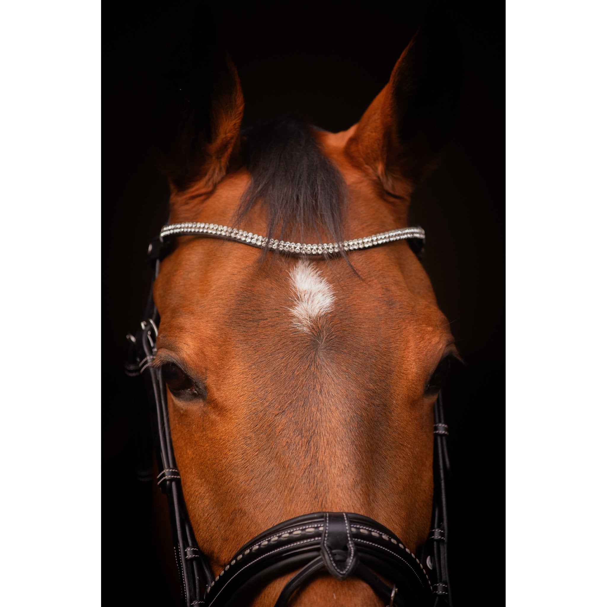 PENELOPE ASTRÉE Browband Black - 304402302_ambi_3