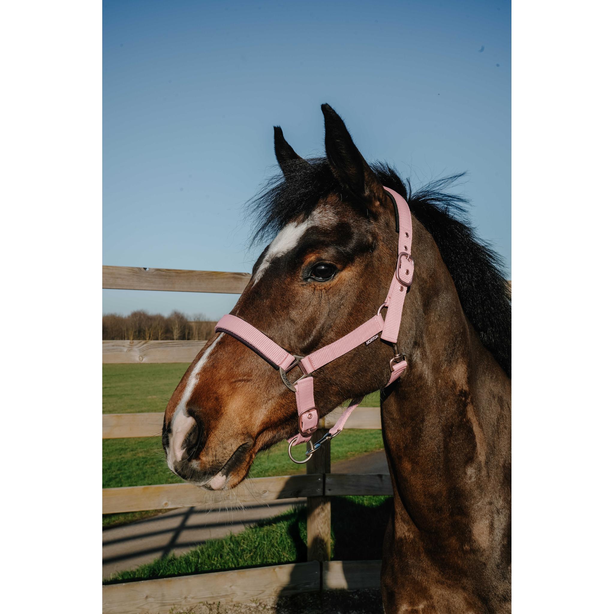 NORTON Pearl Halter Antique pink - 510343313_ambi_1