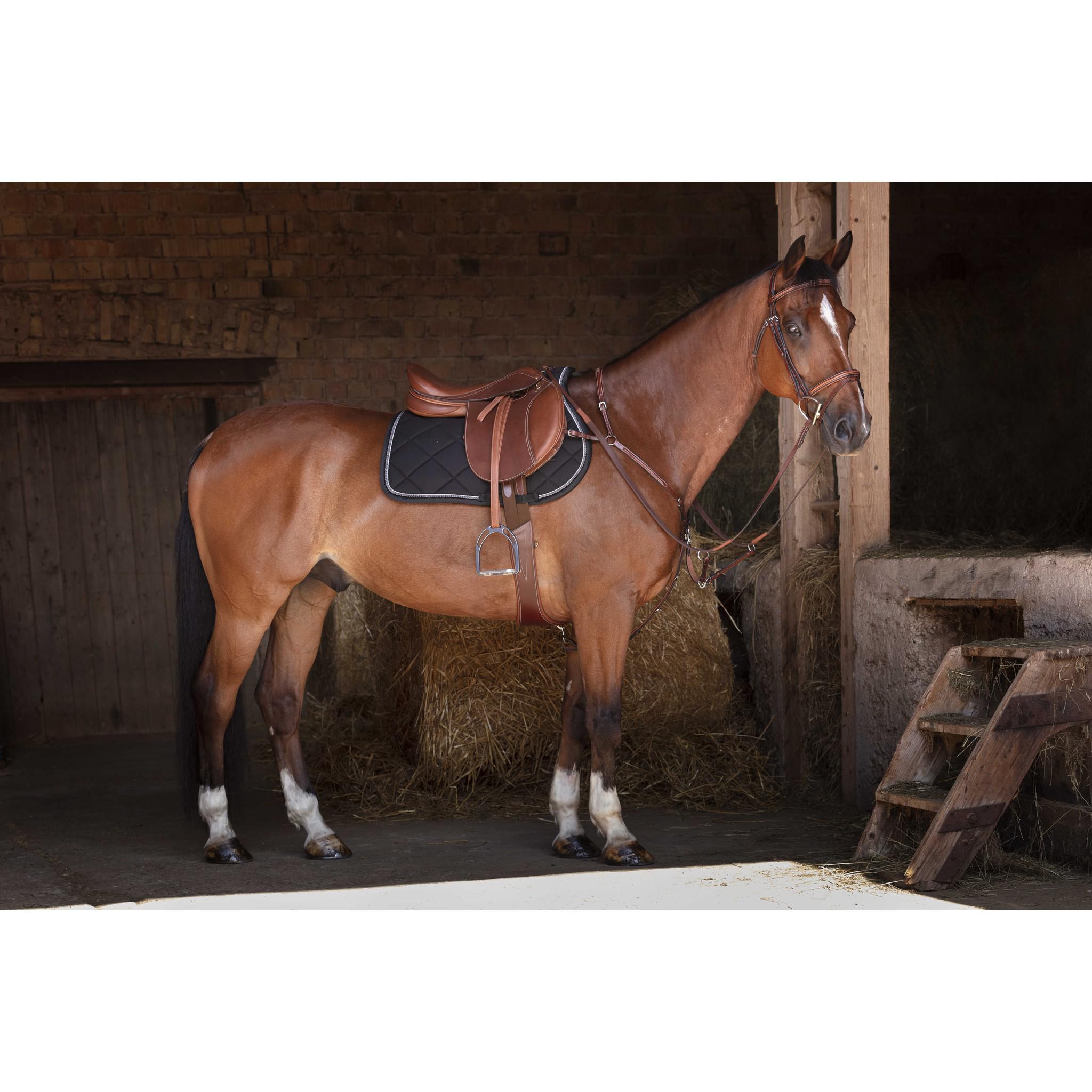 Eric Thomas Hybrid Breastplate Havana 306607318