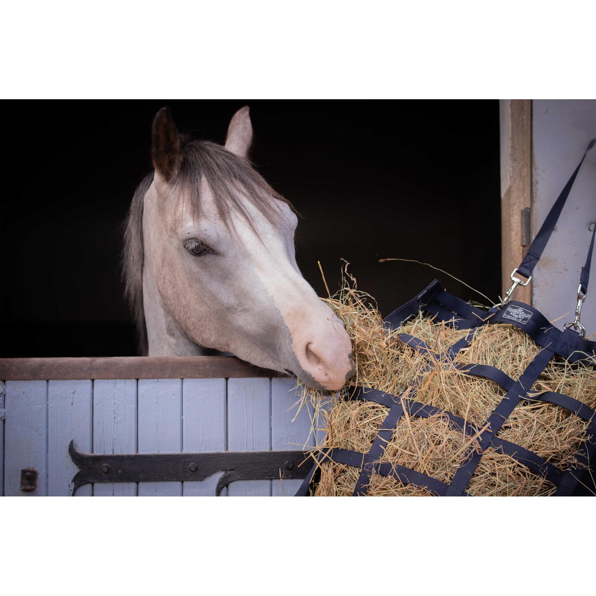 Paddock Sports Hay net Navy blue 935041007