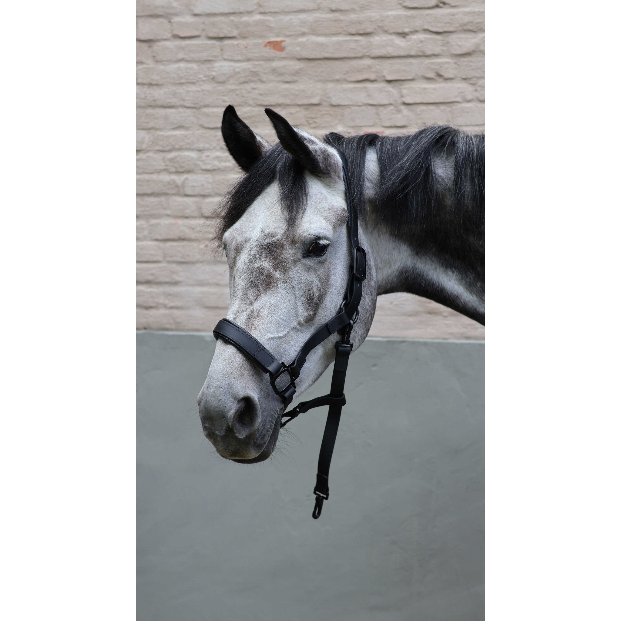 LAMI-CELL Flexicare Halter Black - 555030302_ambi_7