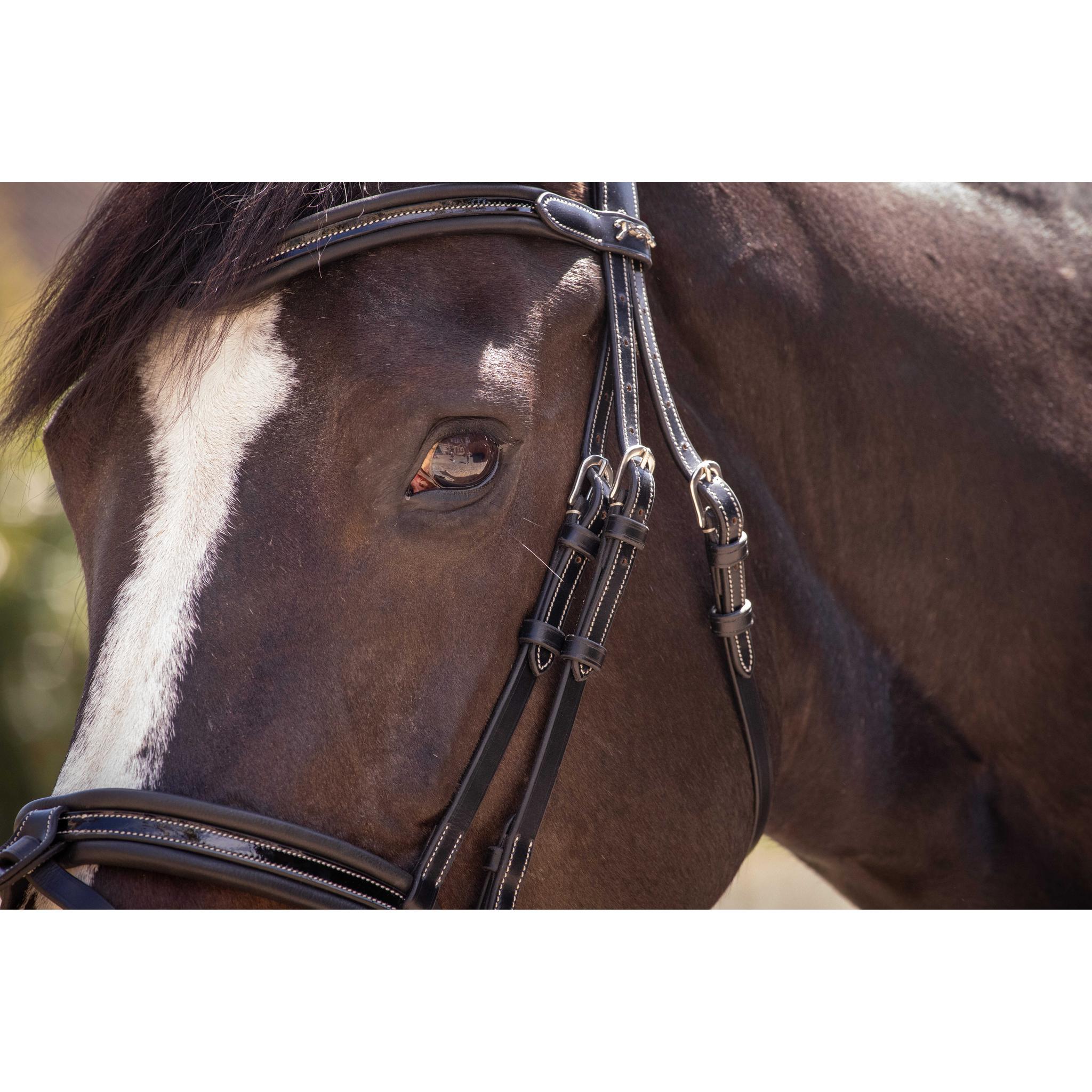 Penelope Smoothie Pearl Bridle Black - 301604302_ambi_7
