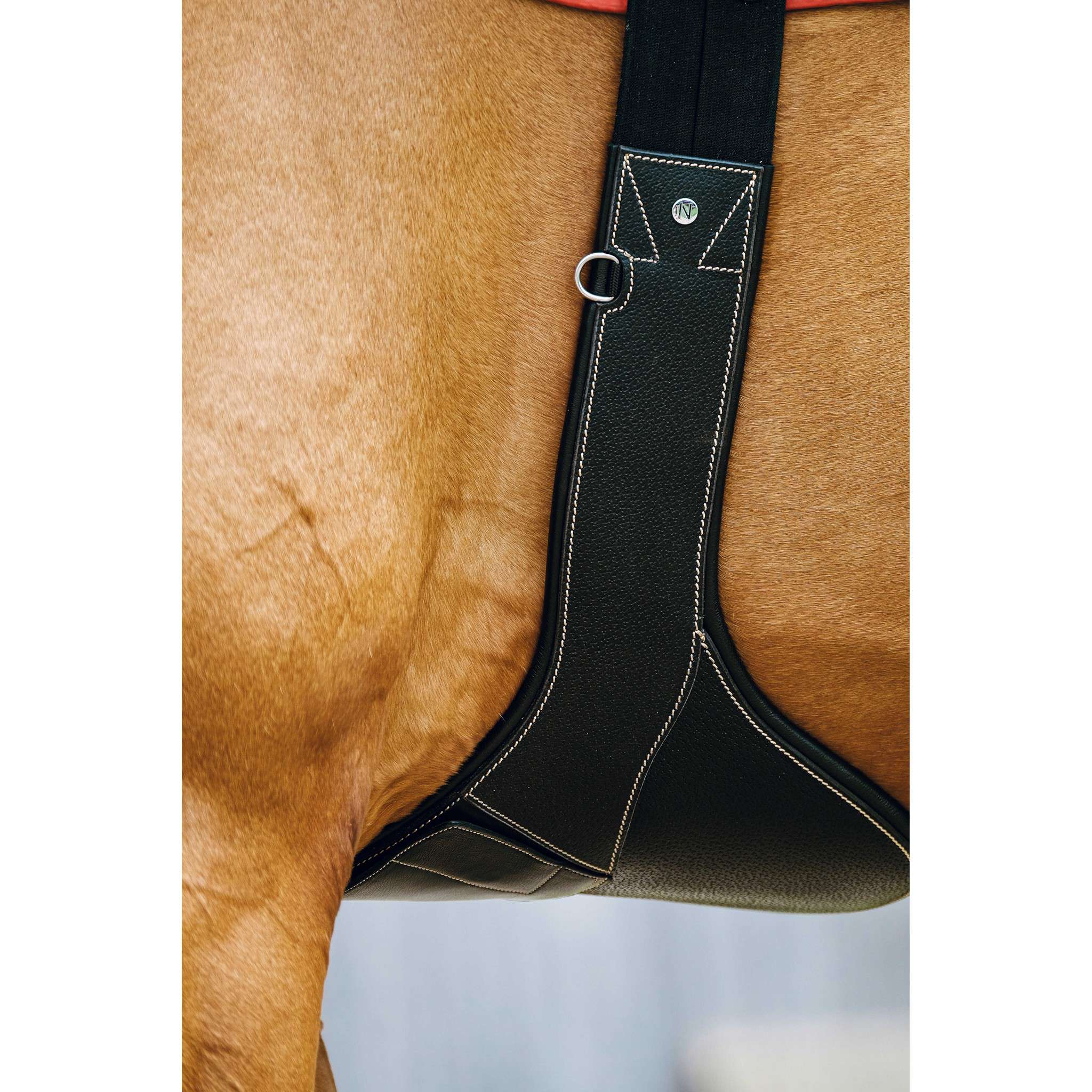 Norton Magnet Belly protector girth Black 203146215