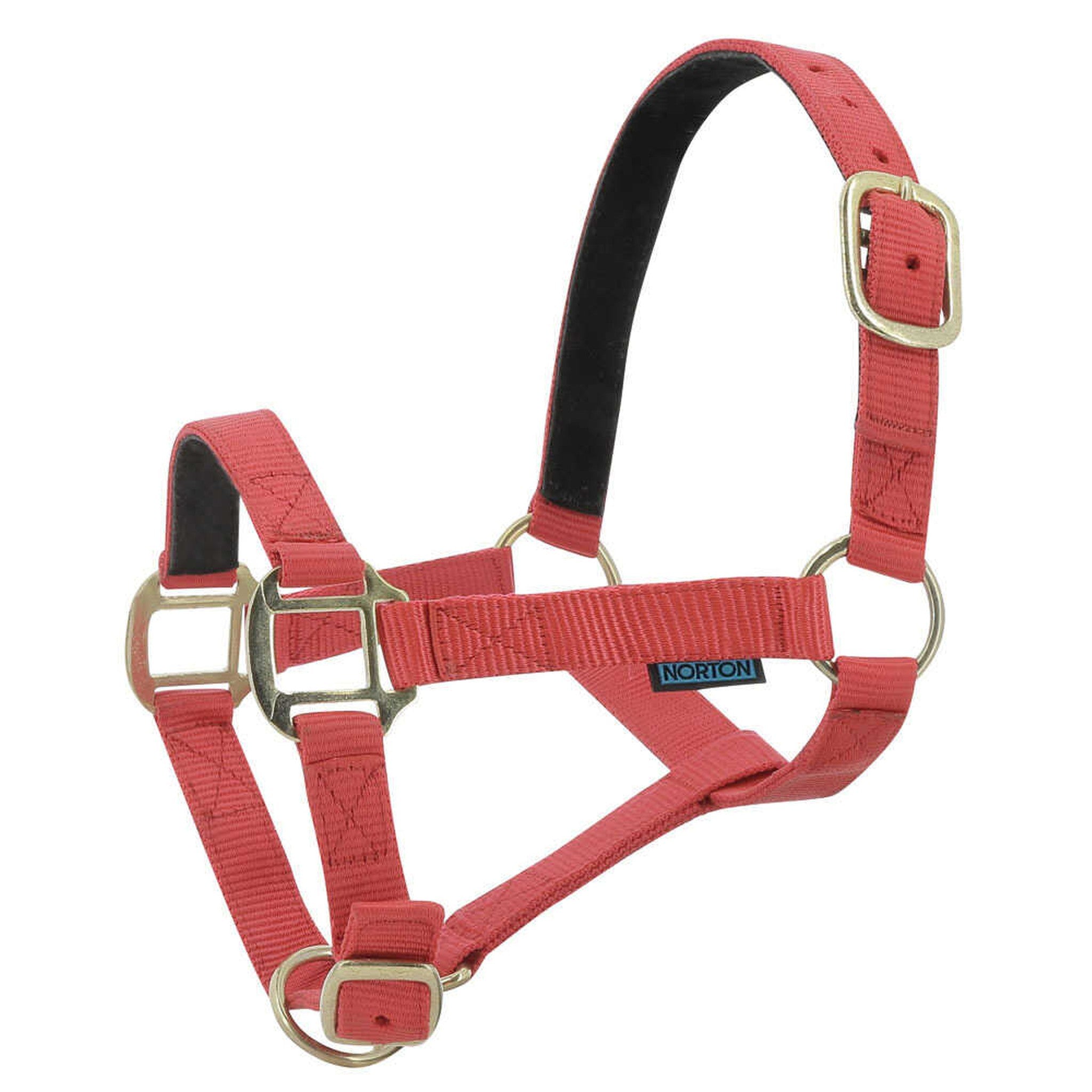 Norton Leather lined nylon headcollar Red 510175003