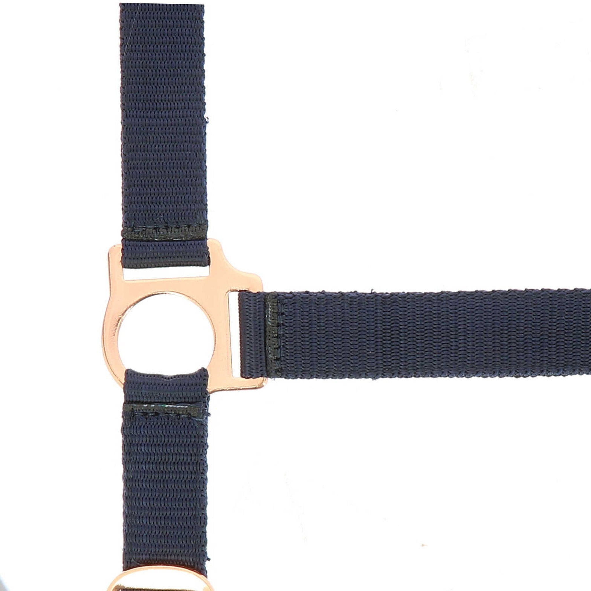 Norton Rose gold Halter + Lead Rope Navy blue 510498007