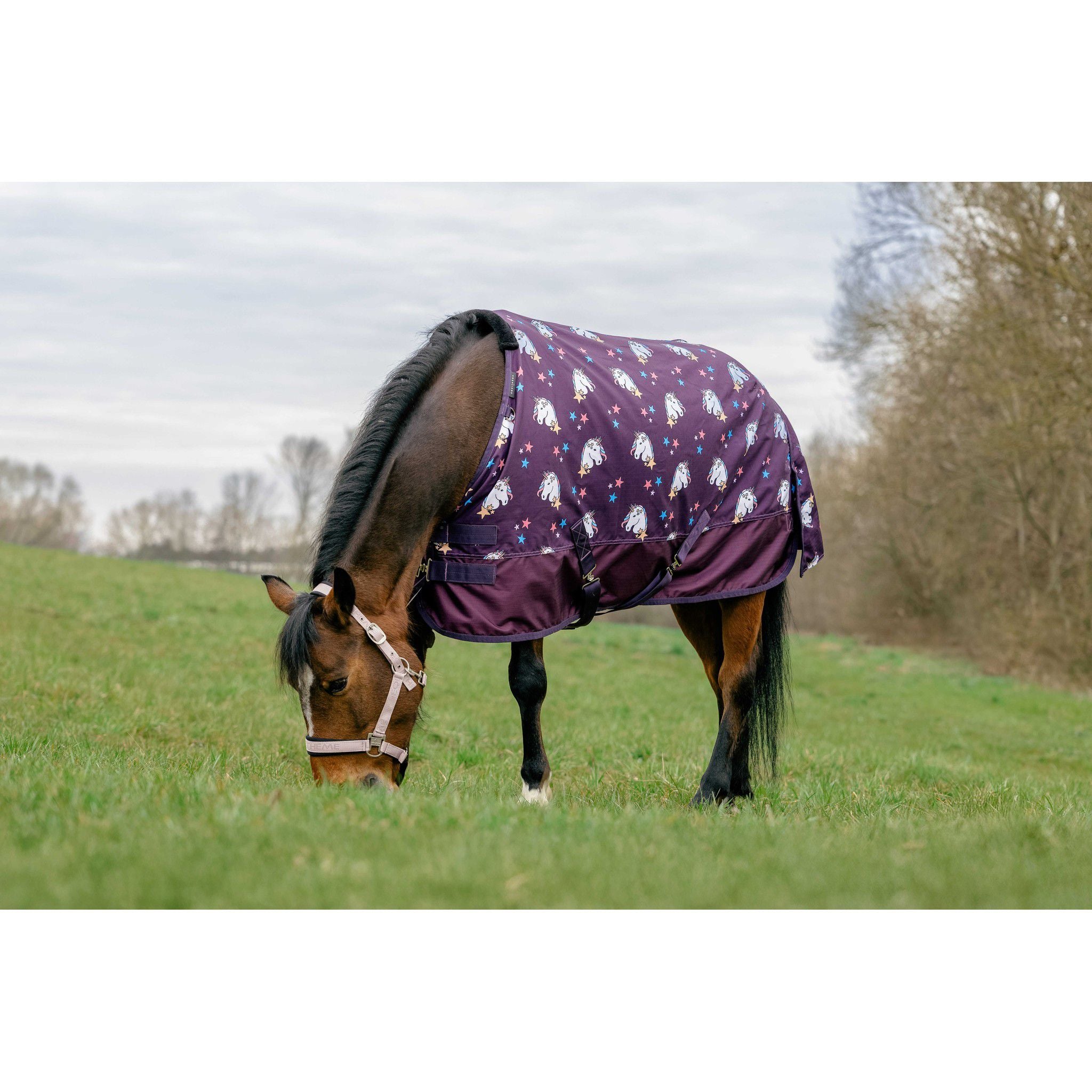 EQUITHÈME Rug - Licorne 600D Plum 400585150