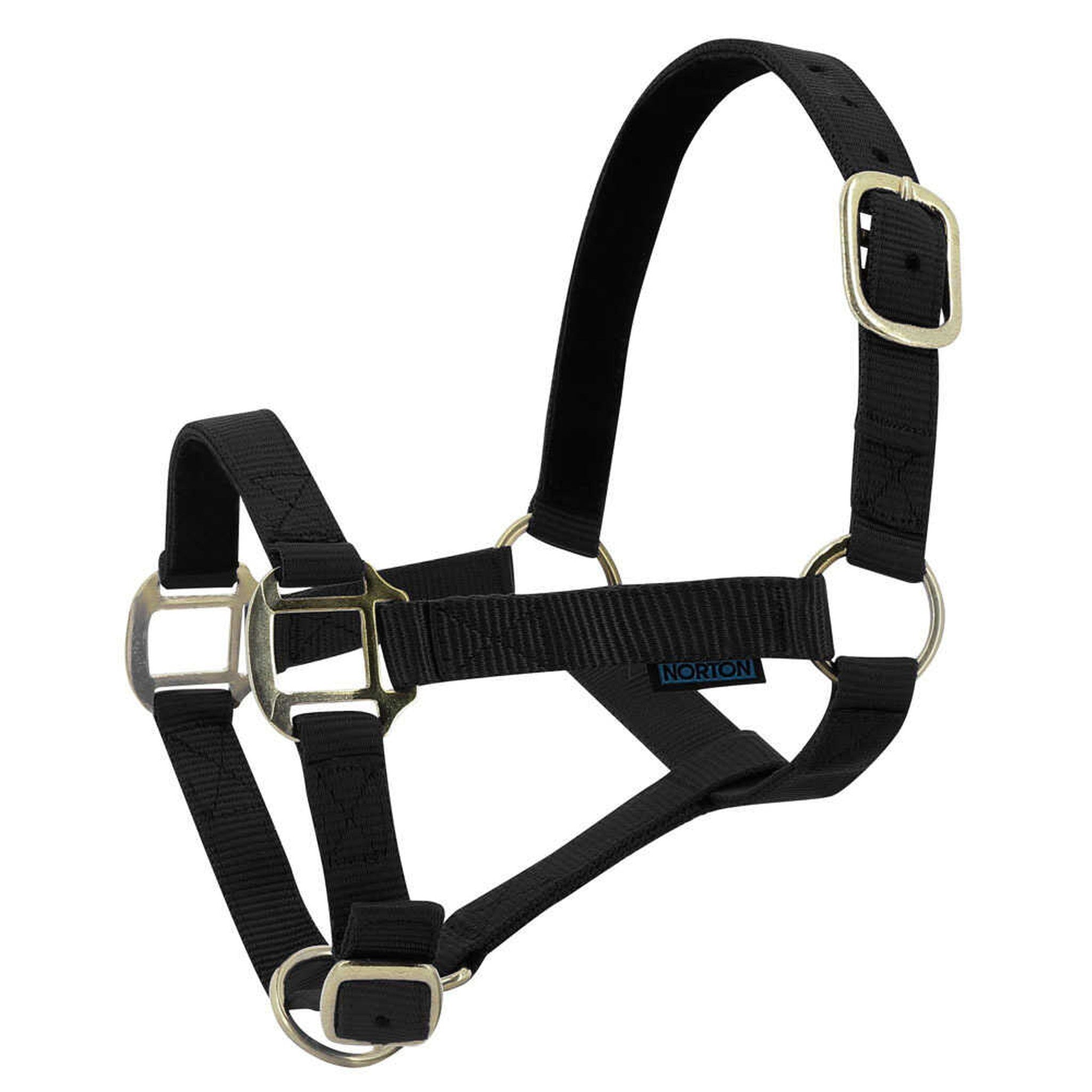 Norton Leather lined nylon headcollar Black 510175002