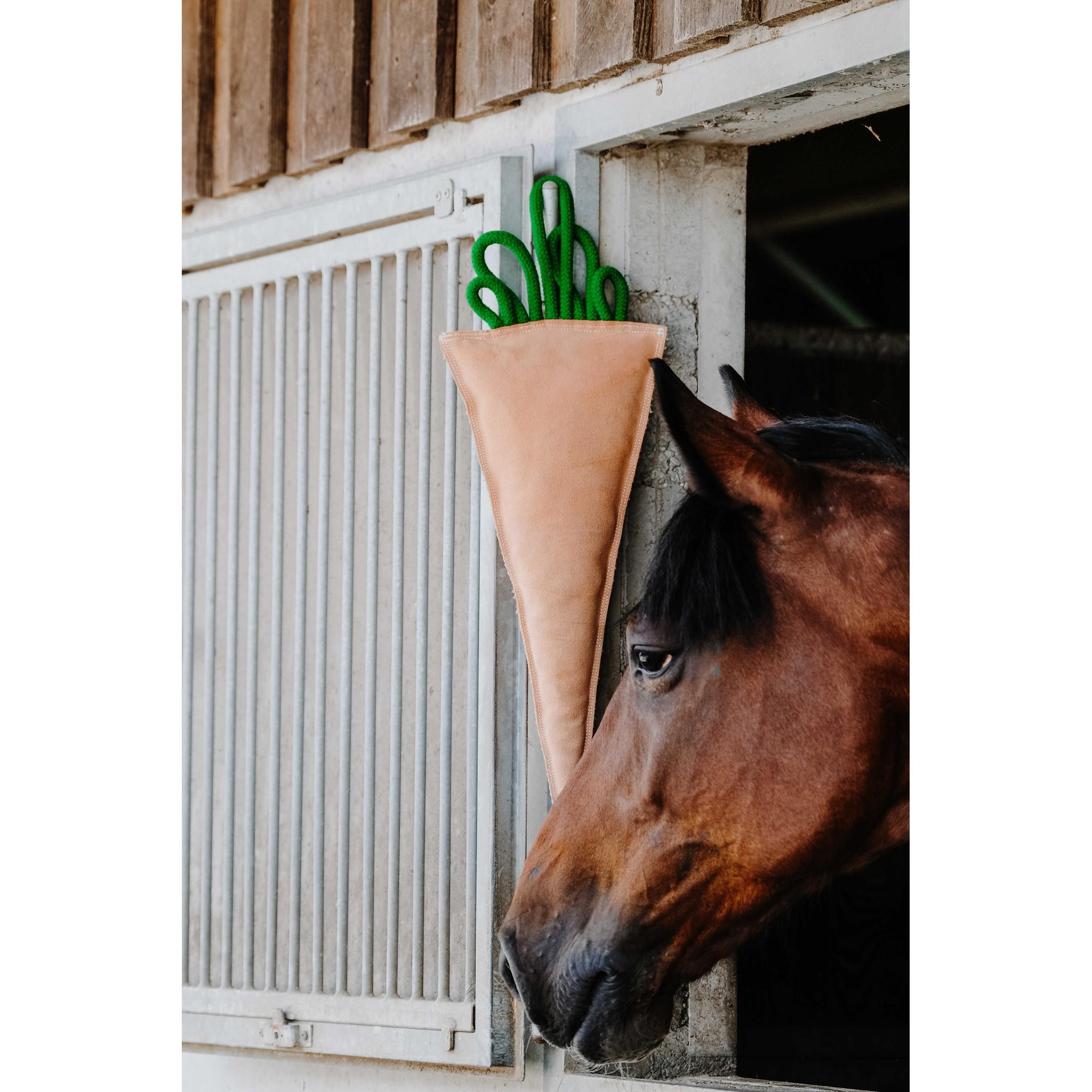 Hippo-Tonic Carotte Horse Toy Orange 700996022