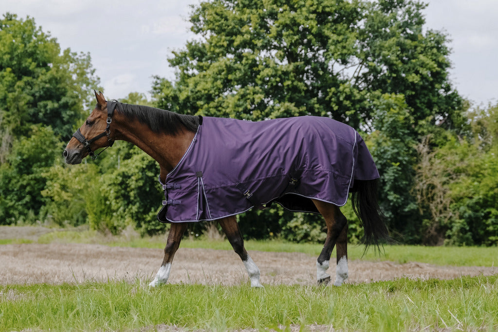 EQUITHÈME Tyrex 600D Aisance Turnout Sheet - Standard Plum