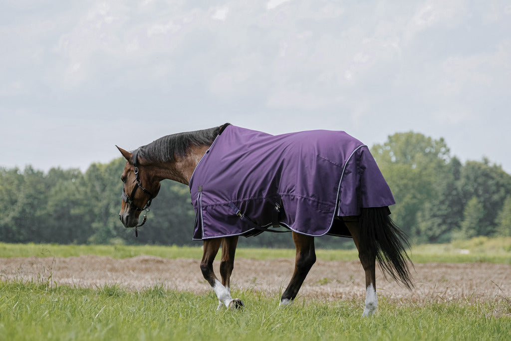 EQUITHÈME Tyrex 600D Aisance Turnout Sheet - Standard Plum