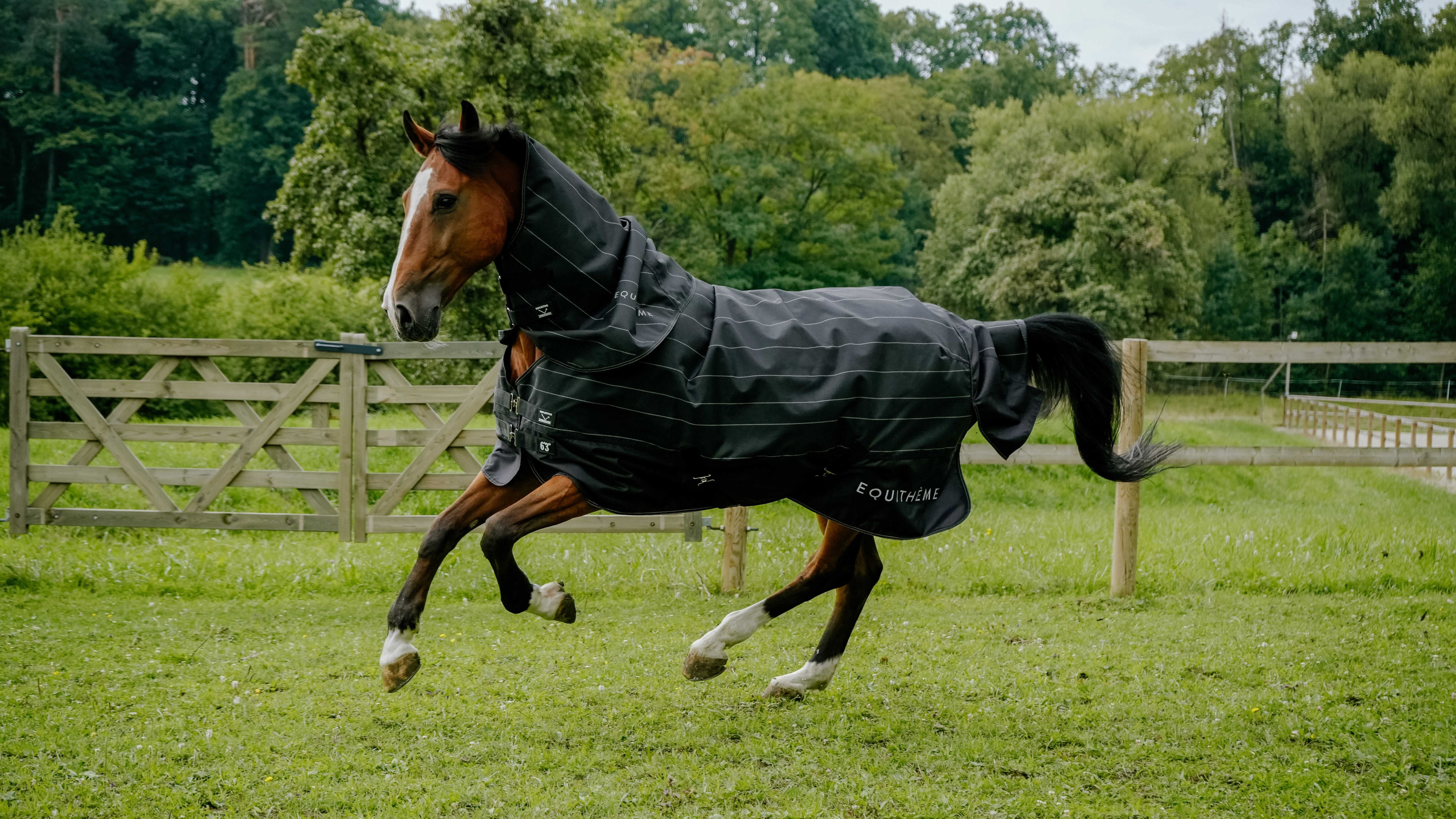 EQUITHÈME Tyrex Lumin 600D Turnout Rug - Standard Black